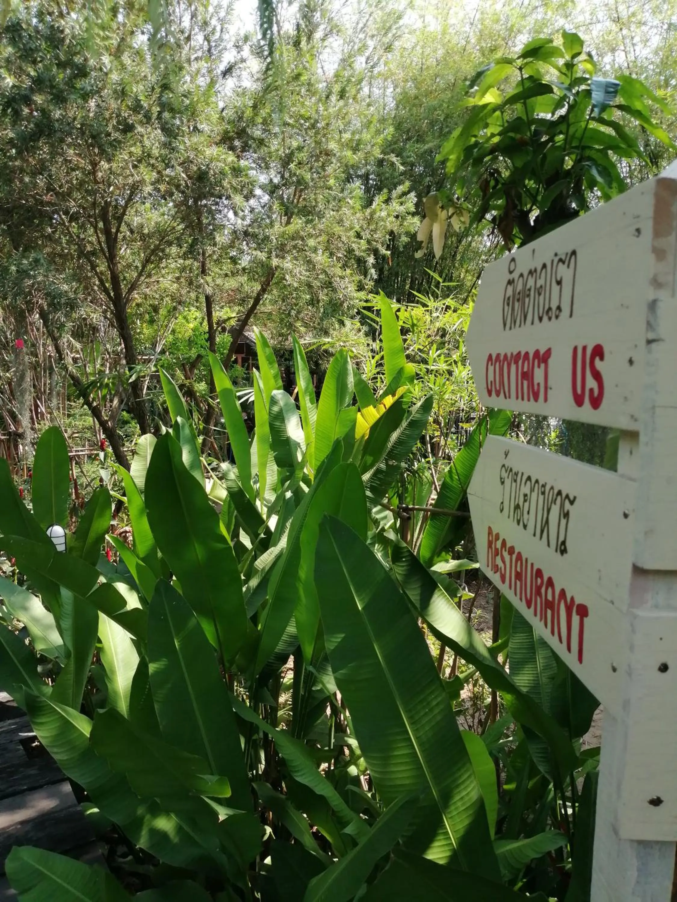 Property building in Rustic​ Charm​ Suphan​