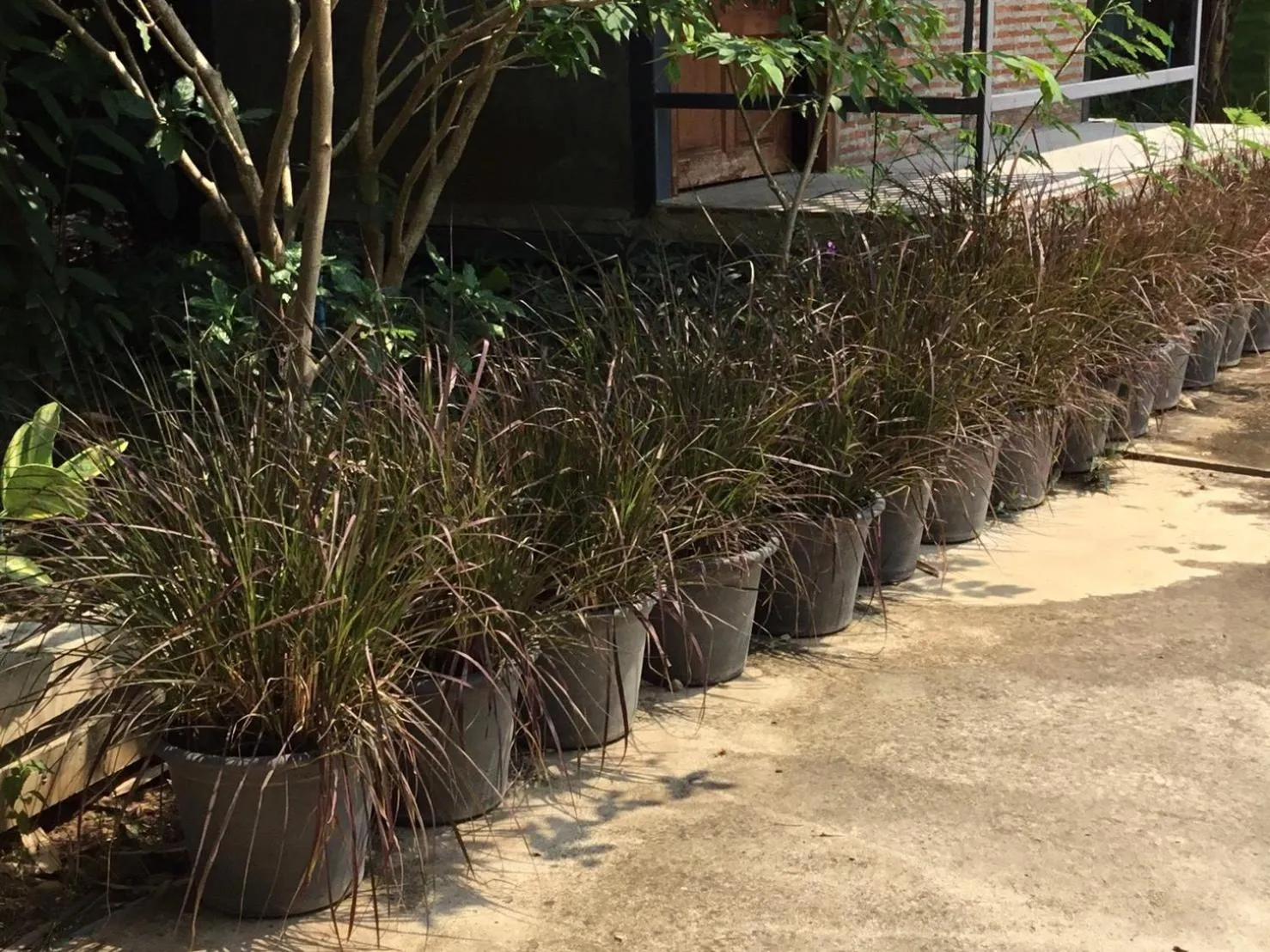 Property building in Rustic​ Charm​ Suphan​