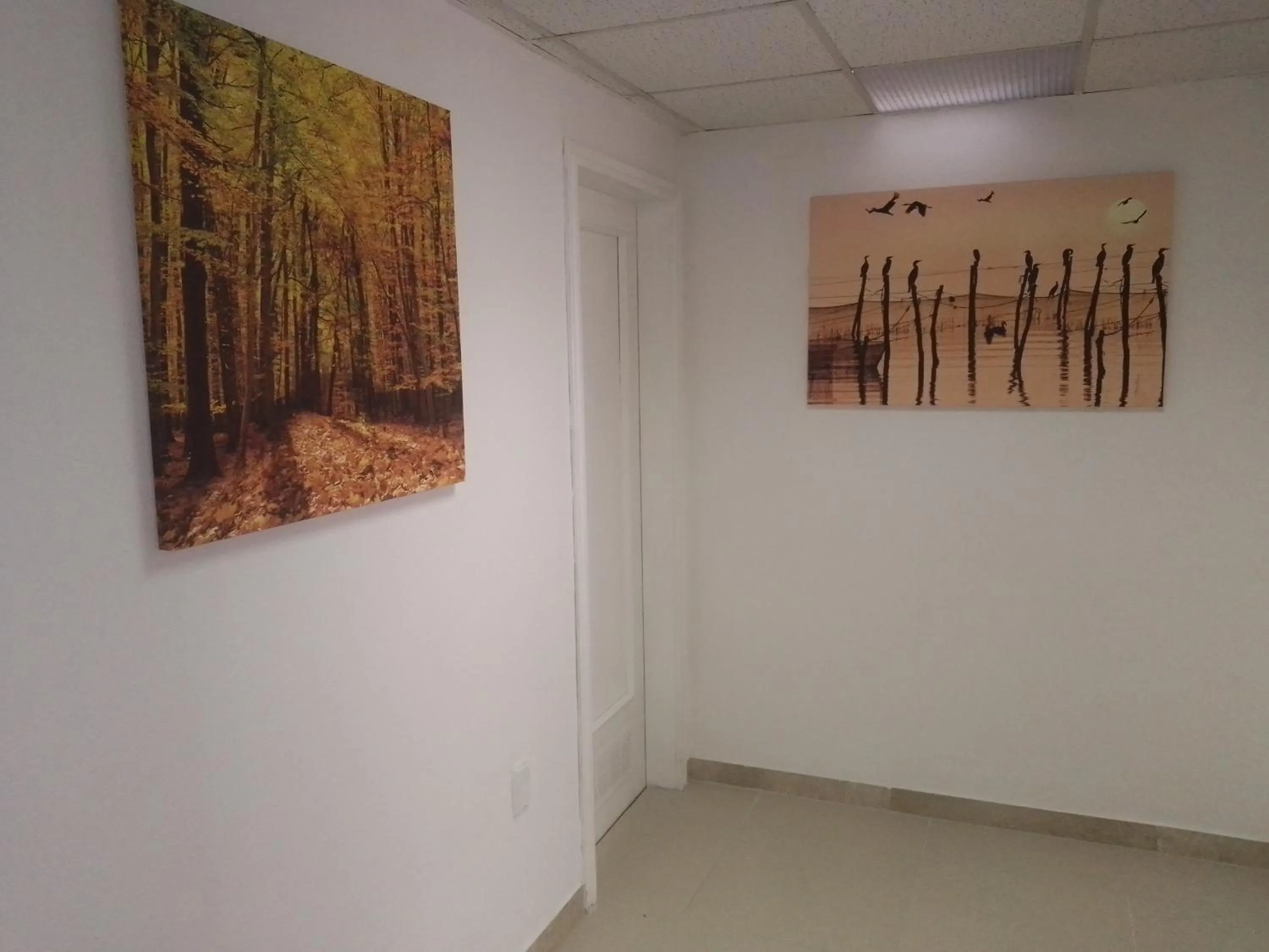 Area and facilities in MAGNA GRECIA B&B