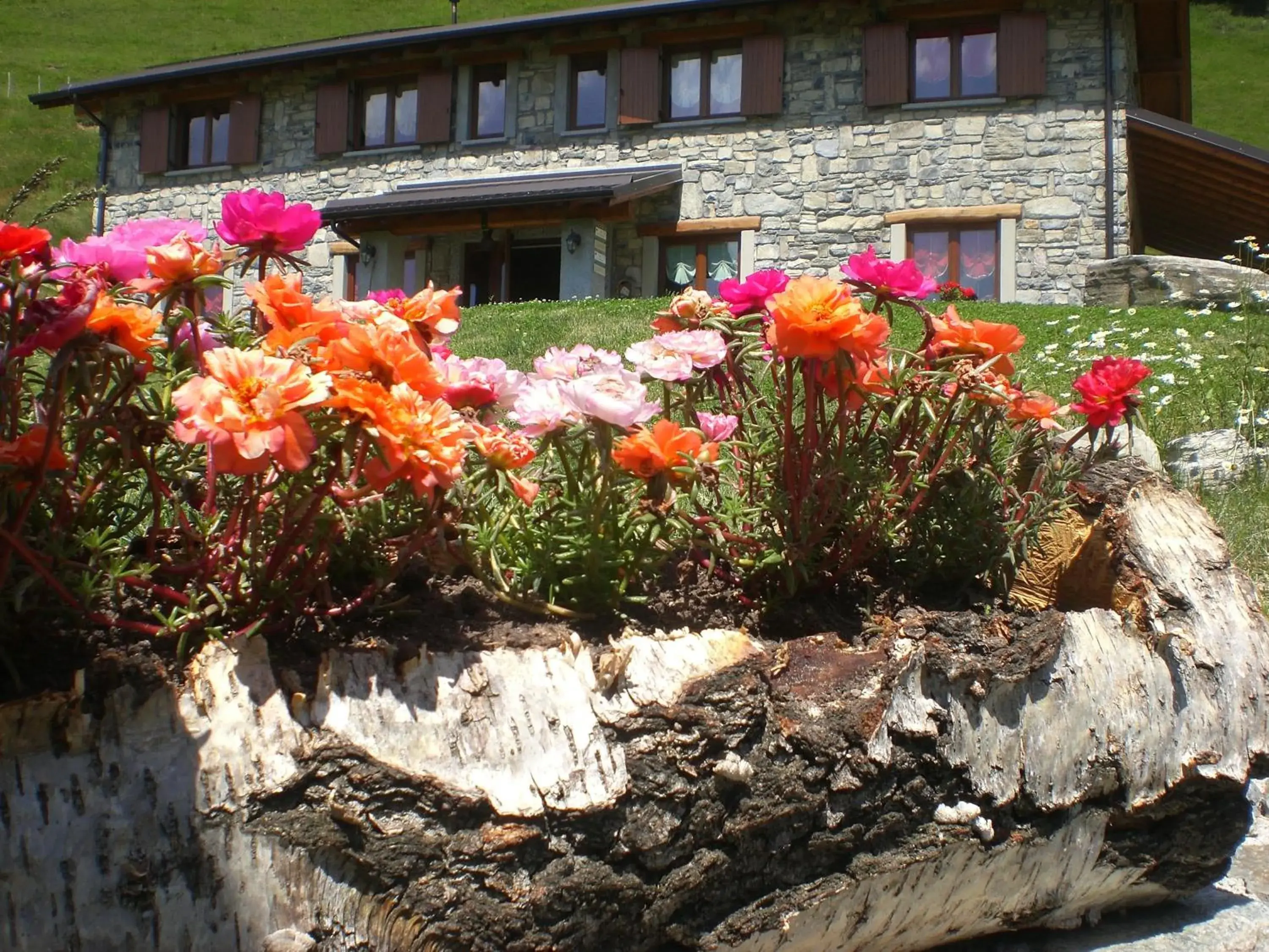 Agriturismo Le Radici Agriturismo Le Radici