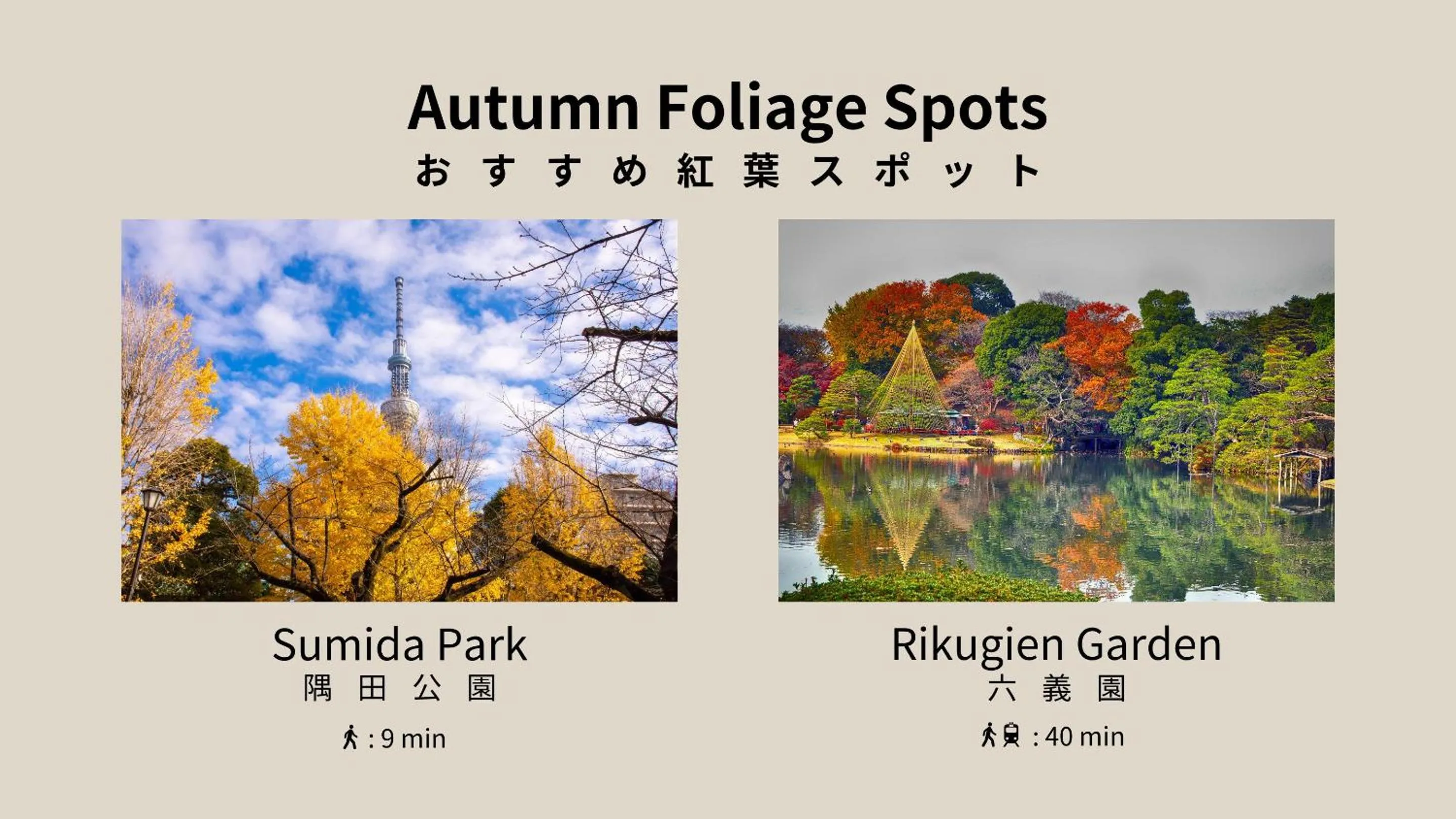 Nearby landmark in Playsis Asakusa