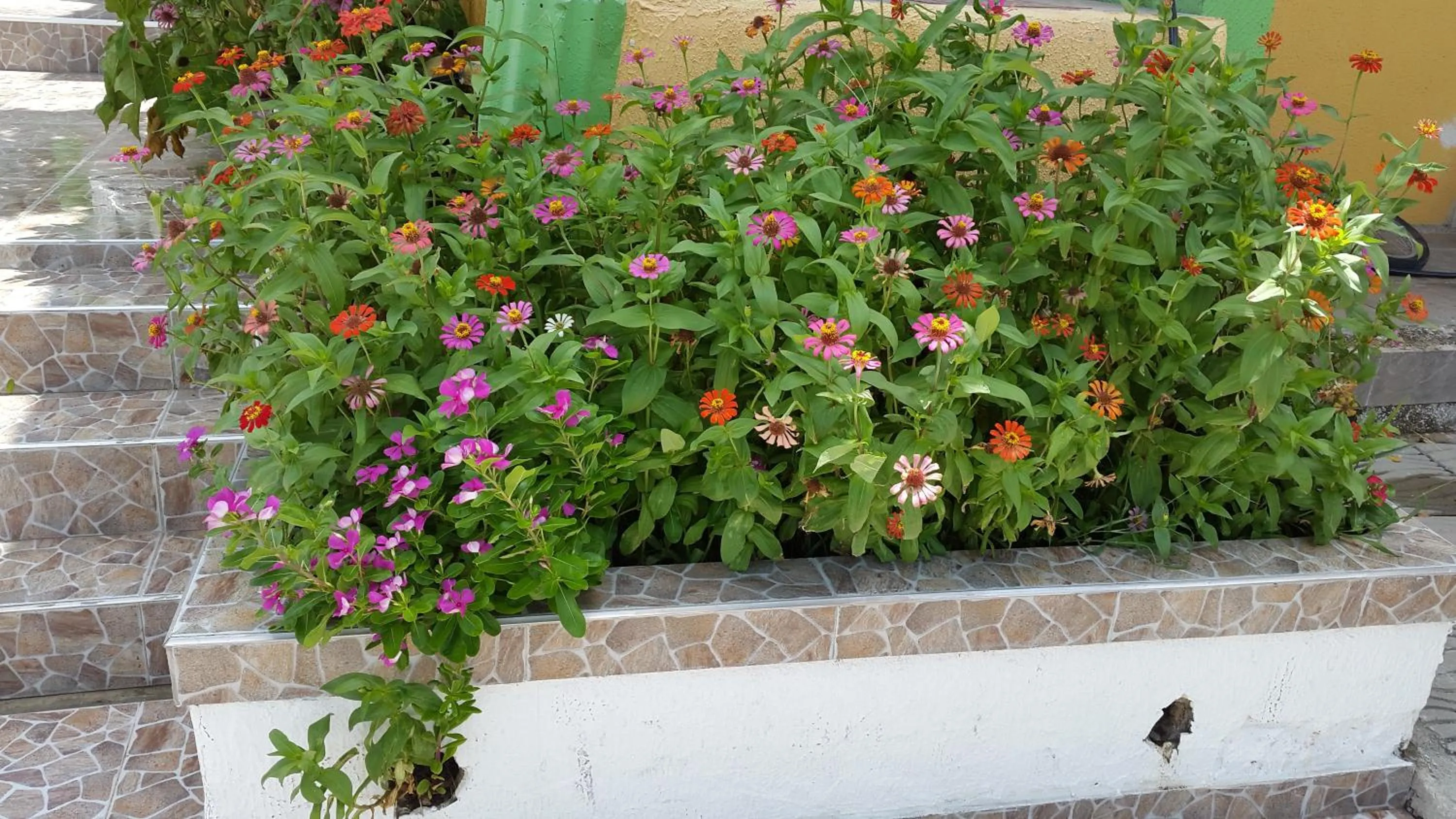 Spring in Hotel Posada Enilda