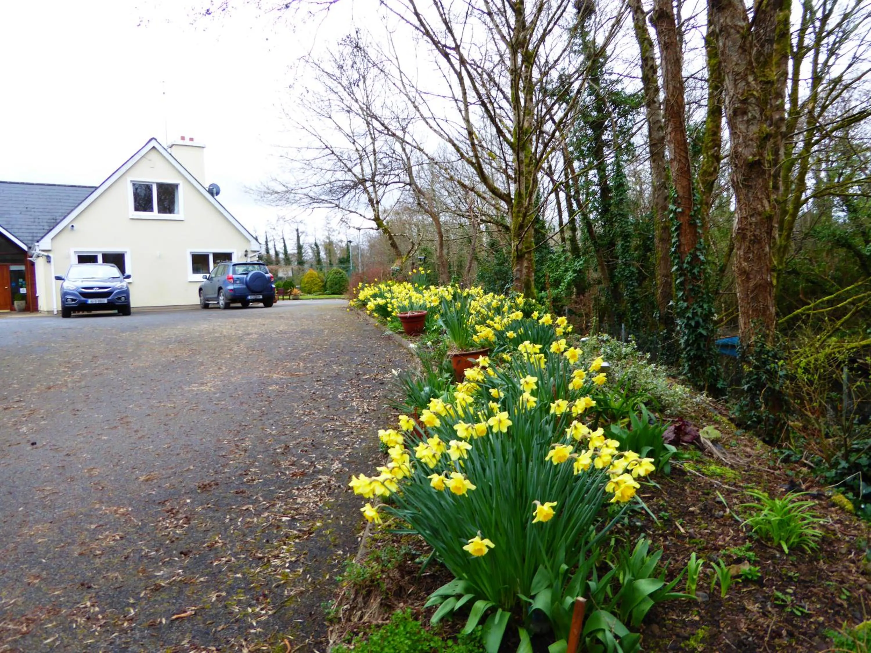 Spring in Camillaun Lodge with Lough Corrib Boat Hire