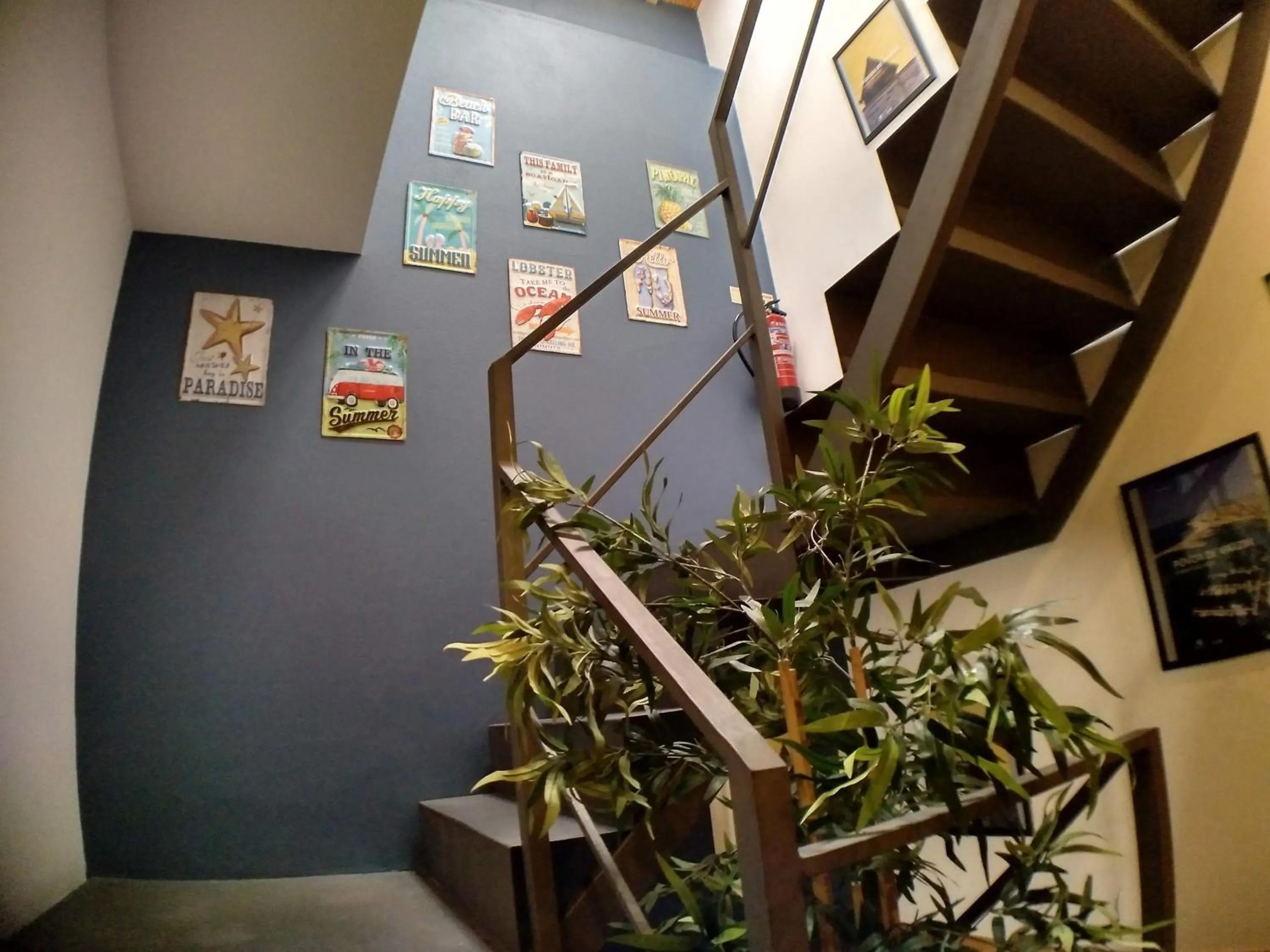 Other in Sardines and Friends Hostel 04
