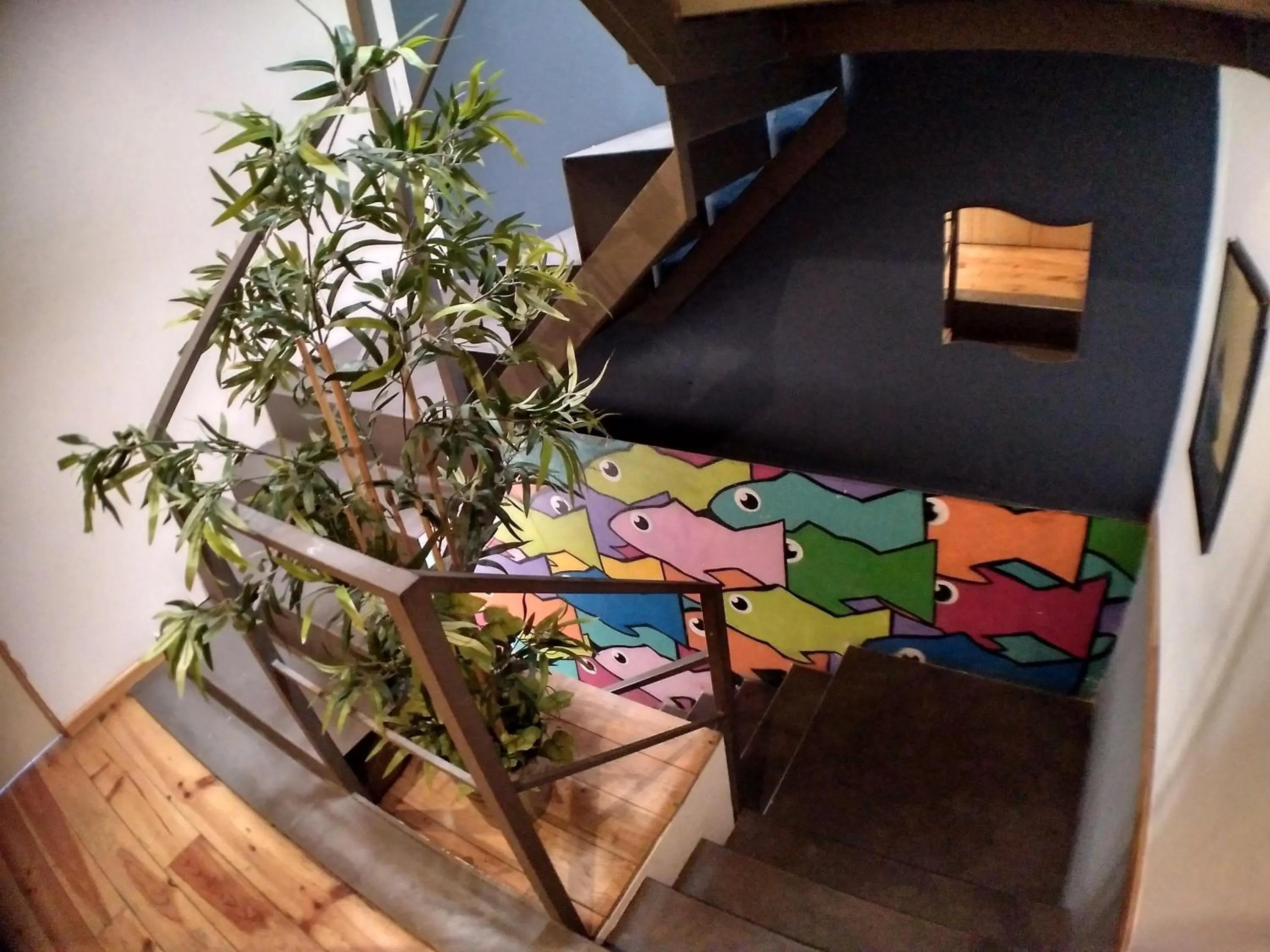 Other in Sardines and Friends Hostel 04