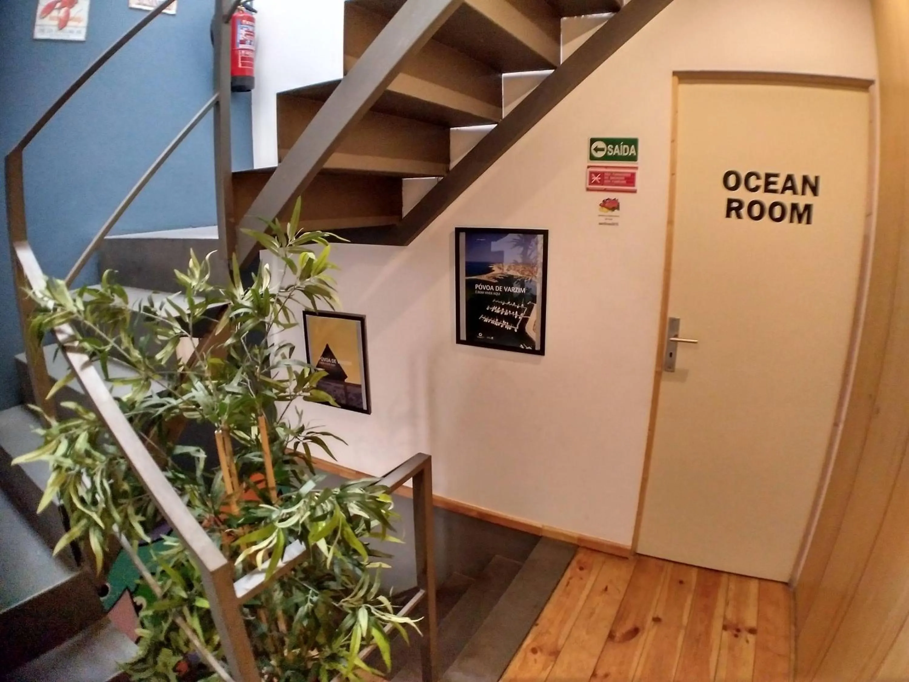 Other in Sardines and Friends Hostel 04