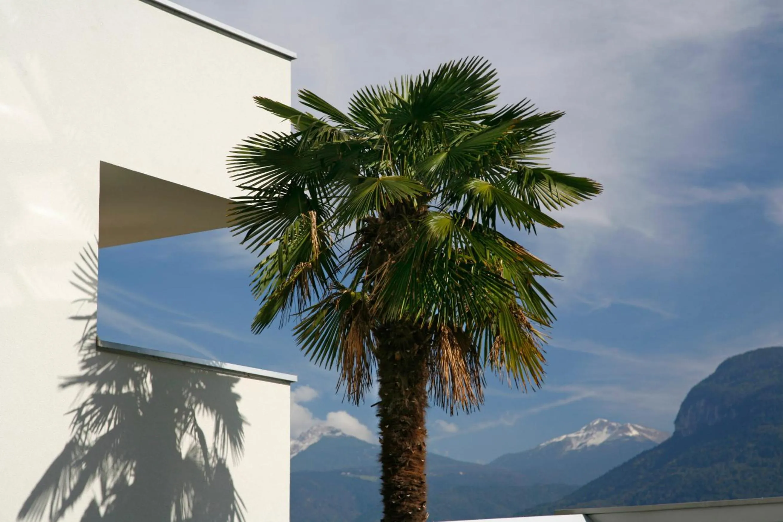 Garden in Hotel Residence Pernhof