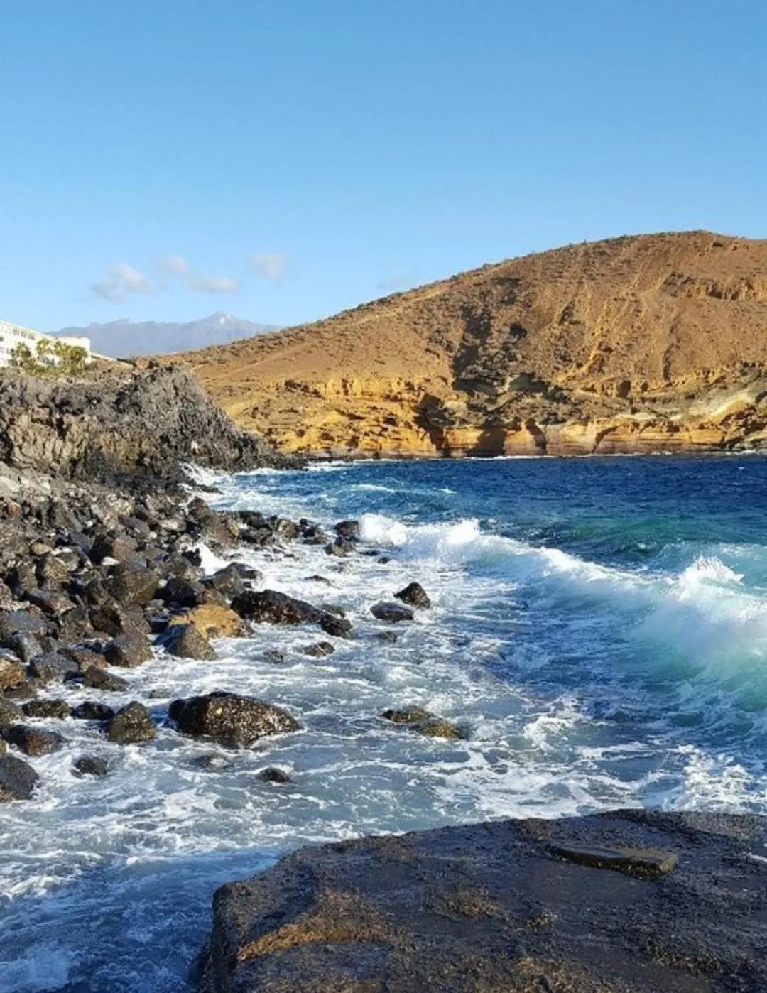 Other in Apartamentos Parque Carolina