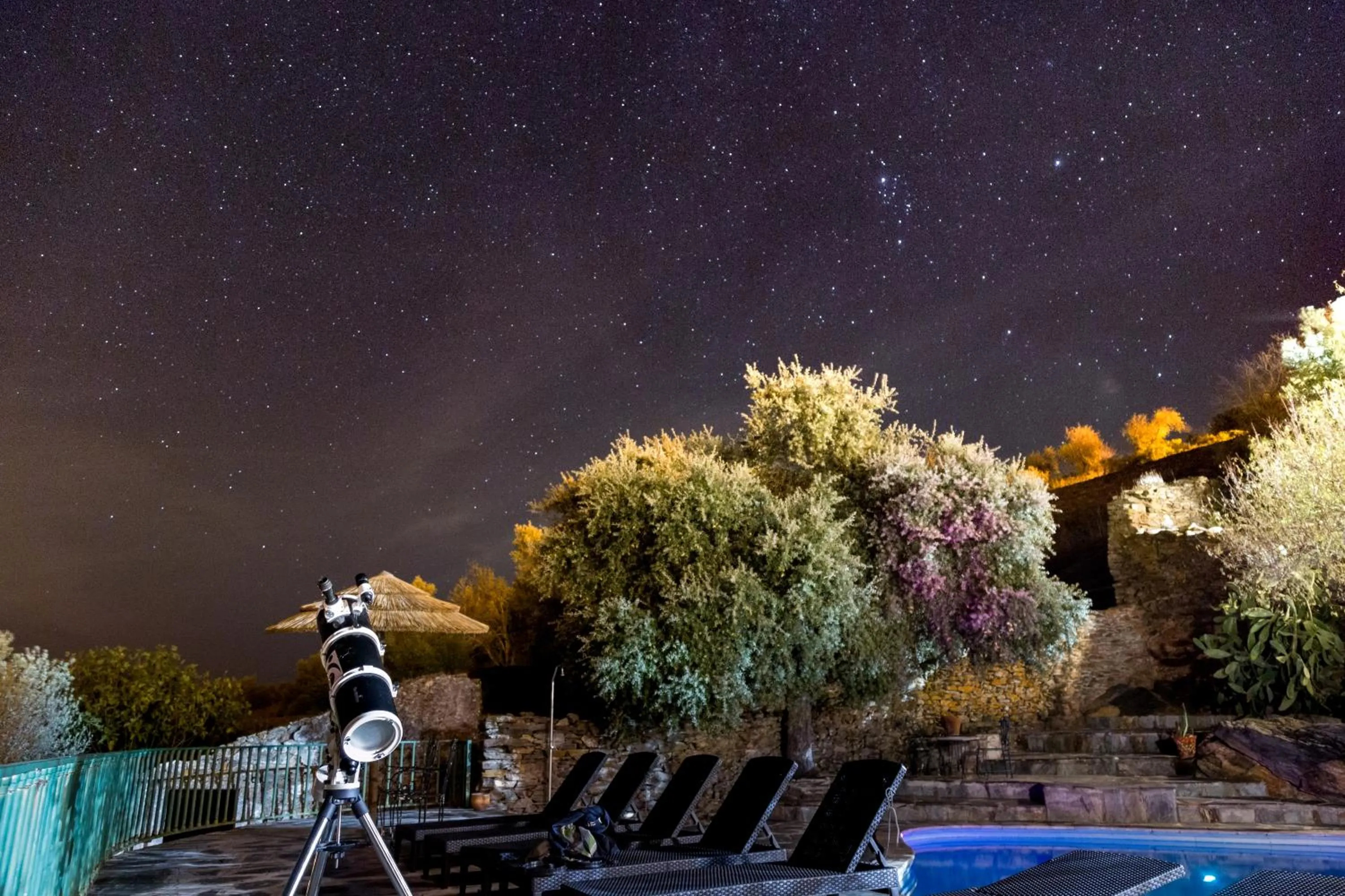Garden view in Estalagem de Monsaraz