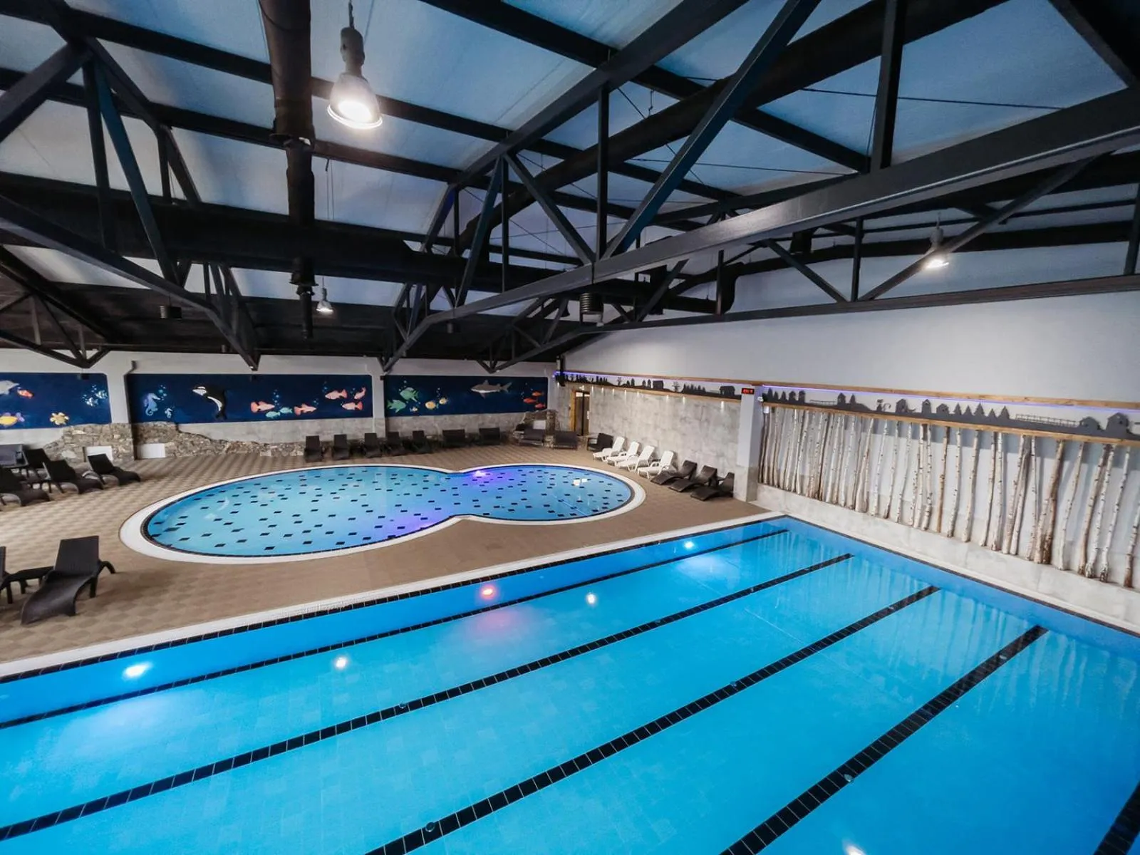 Swimming pool in Etno Village Cardaci