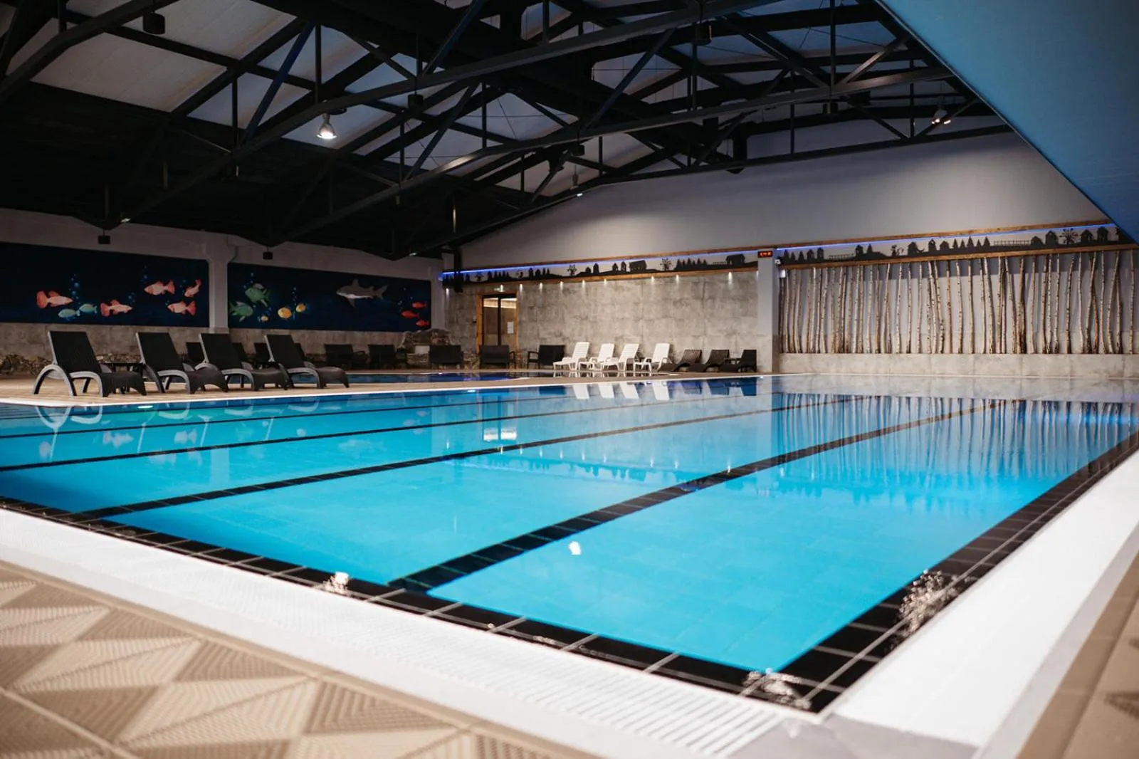 Swimming pool in Etno Village Cardaci