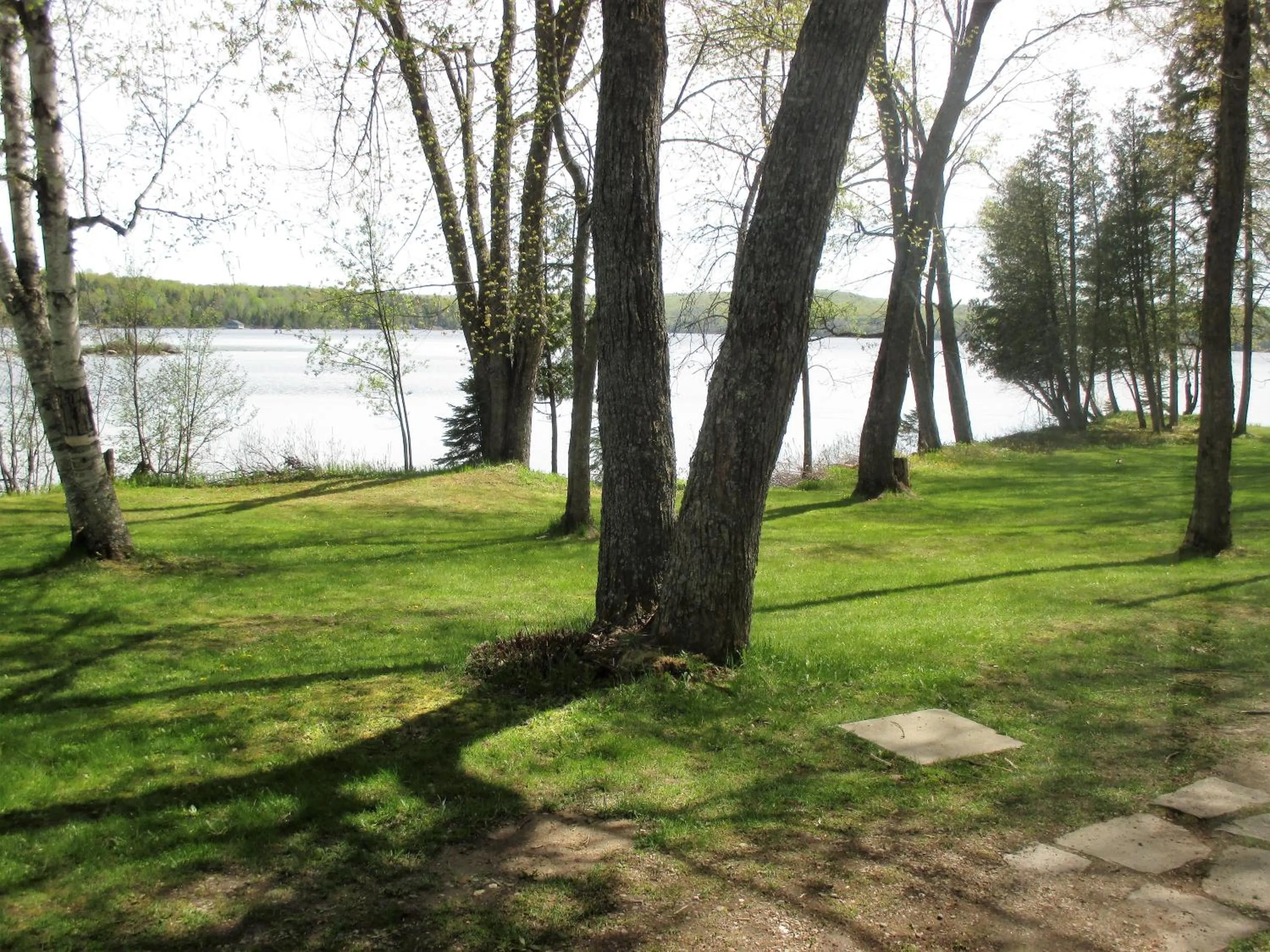 Garden in Tally Ho Inn