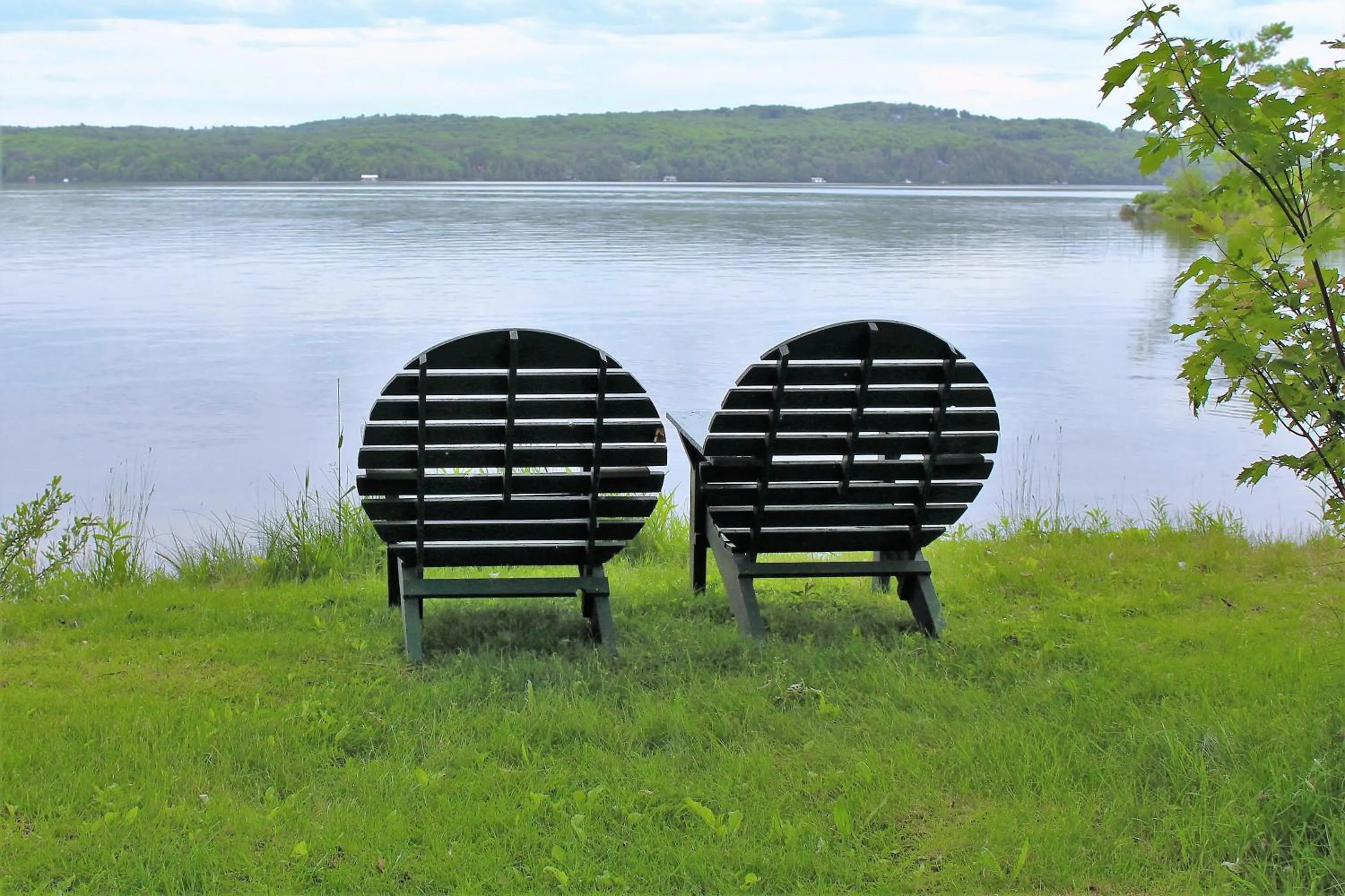 Natural landscape in Tally Ho Inn