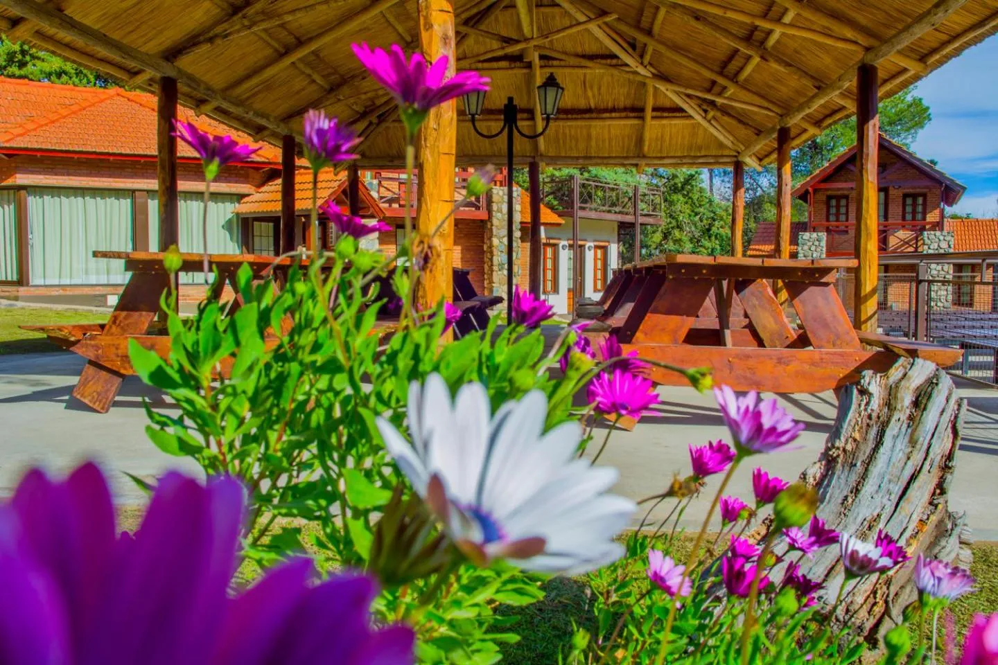 Garden view in Hotel Villa Sol