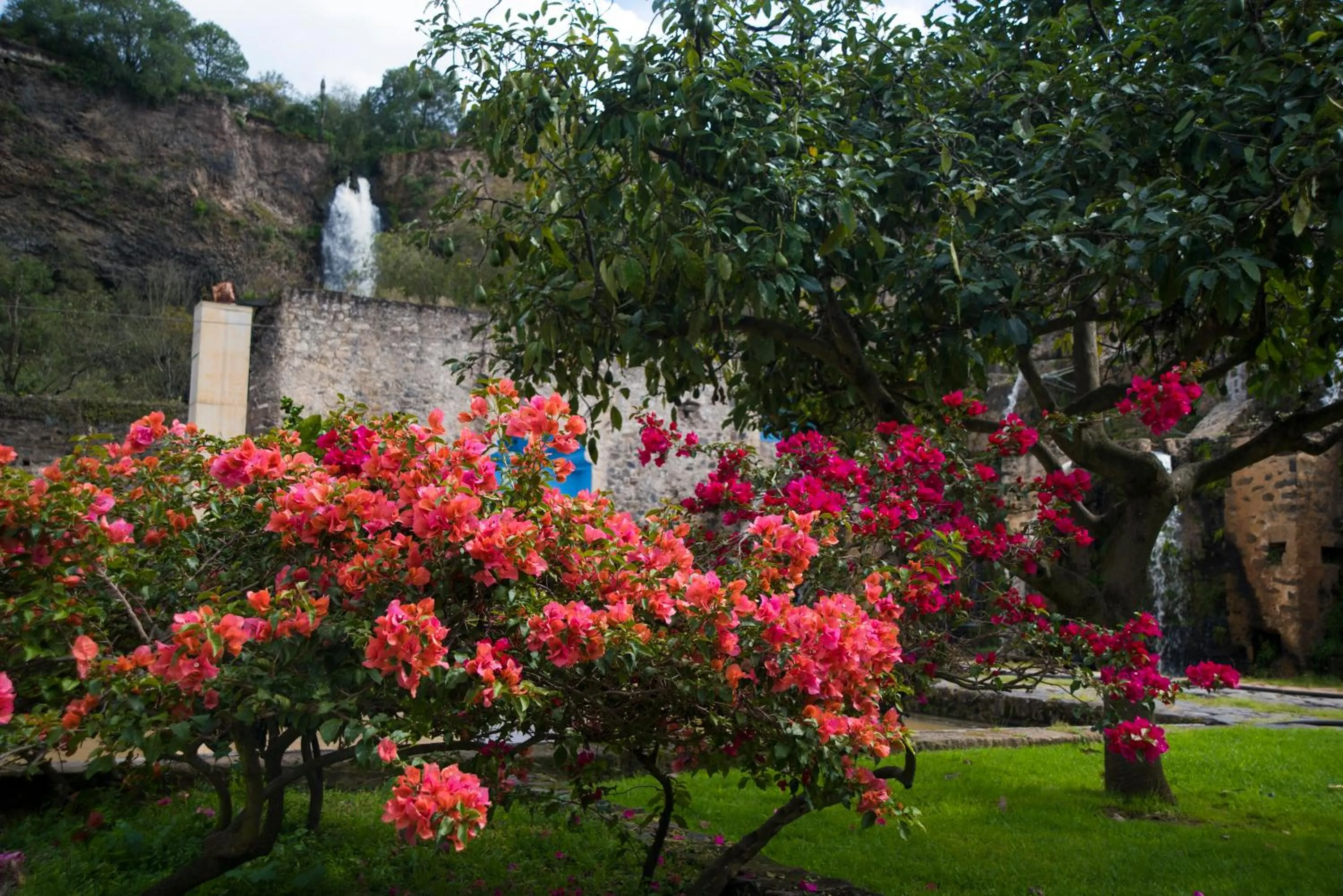 Garden in Hacienda Santa Maria Regla