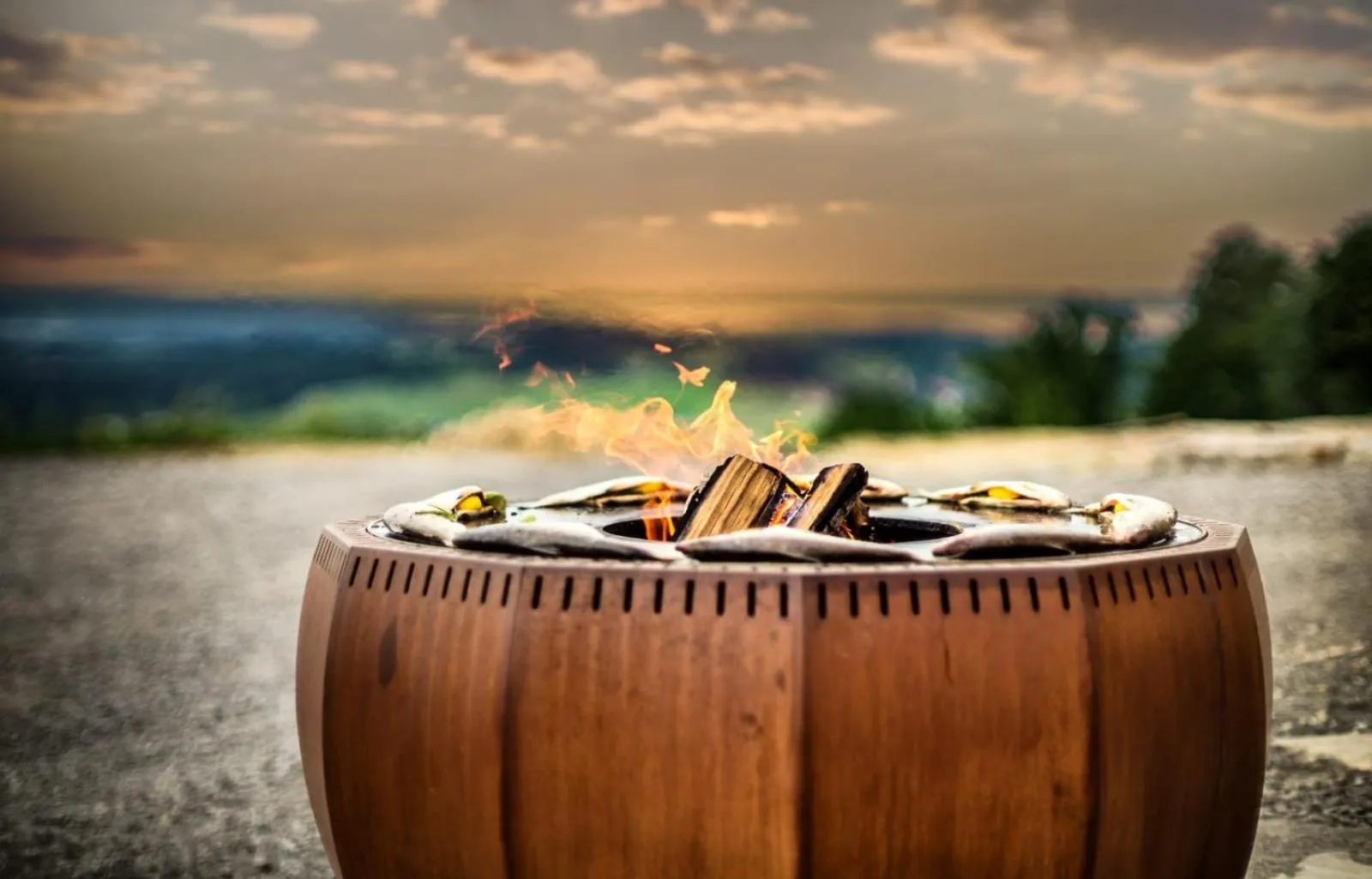 BBQ facilities in Chiemsee Chalet