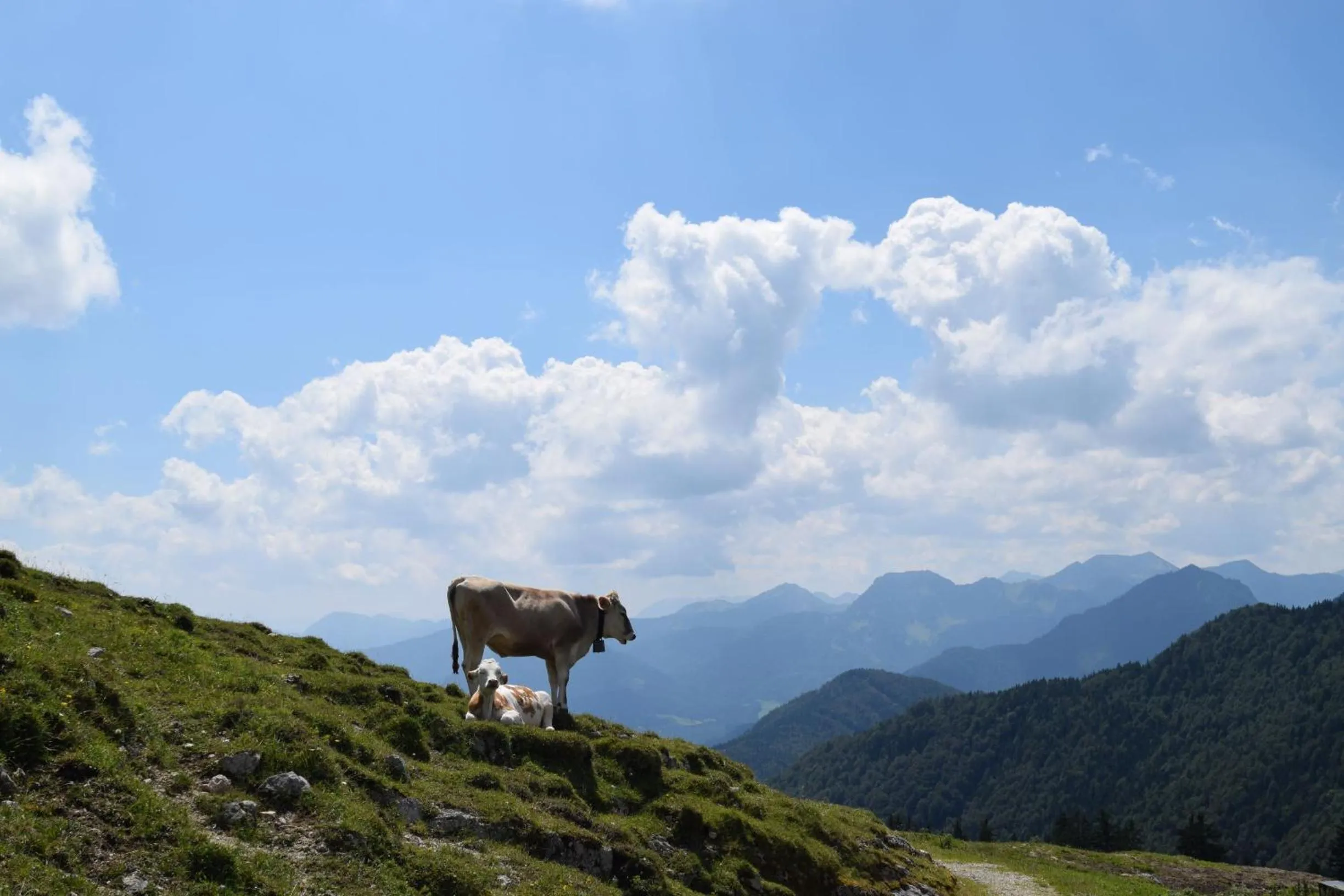 Off site in Chiemsee Chalet