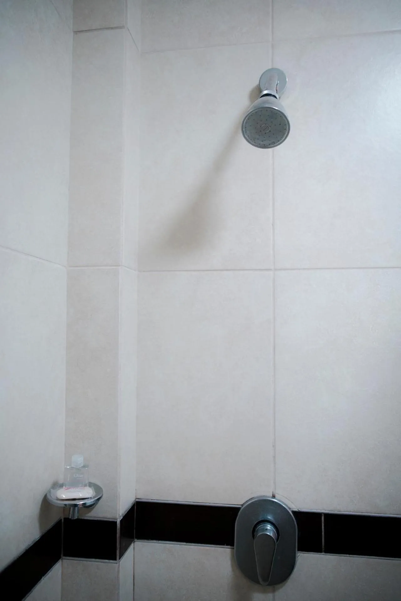 Shower in EH Ejecutivo Urban