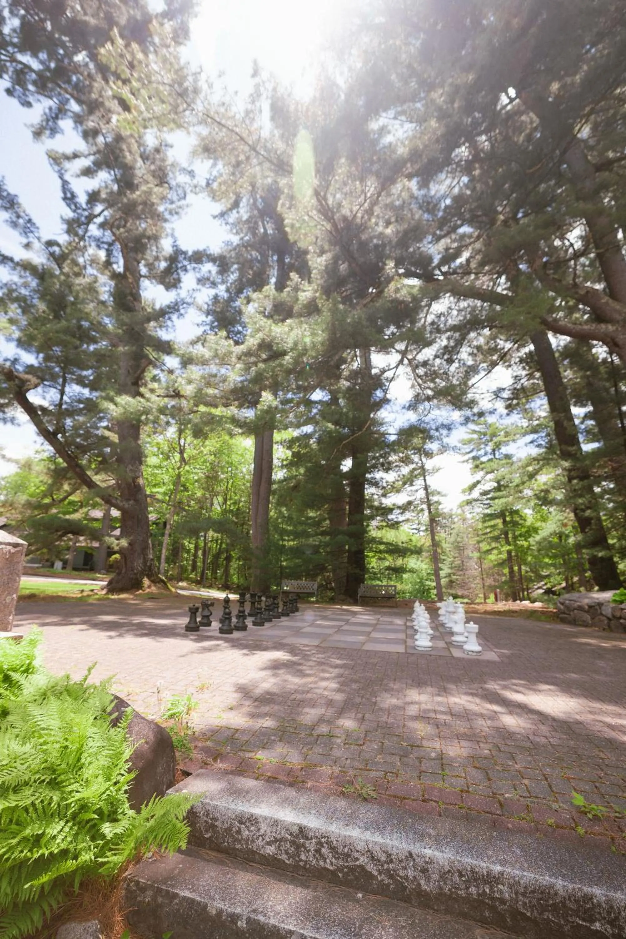 Stonehurst Manor Breakfast & Dinner Included