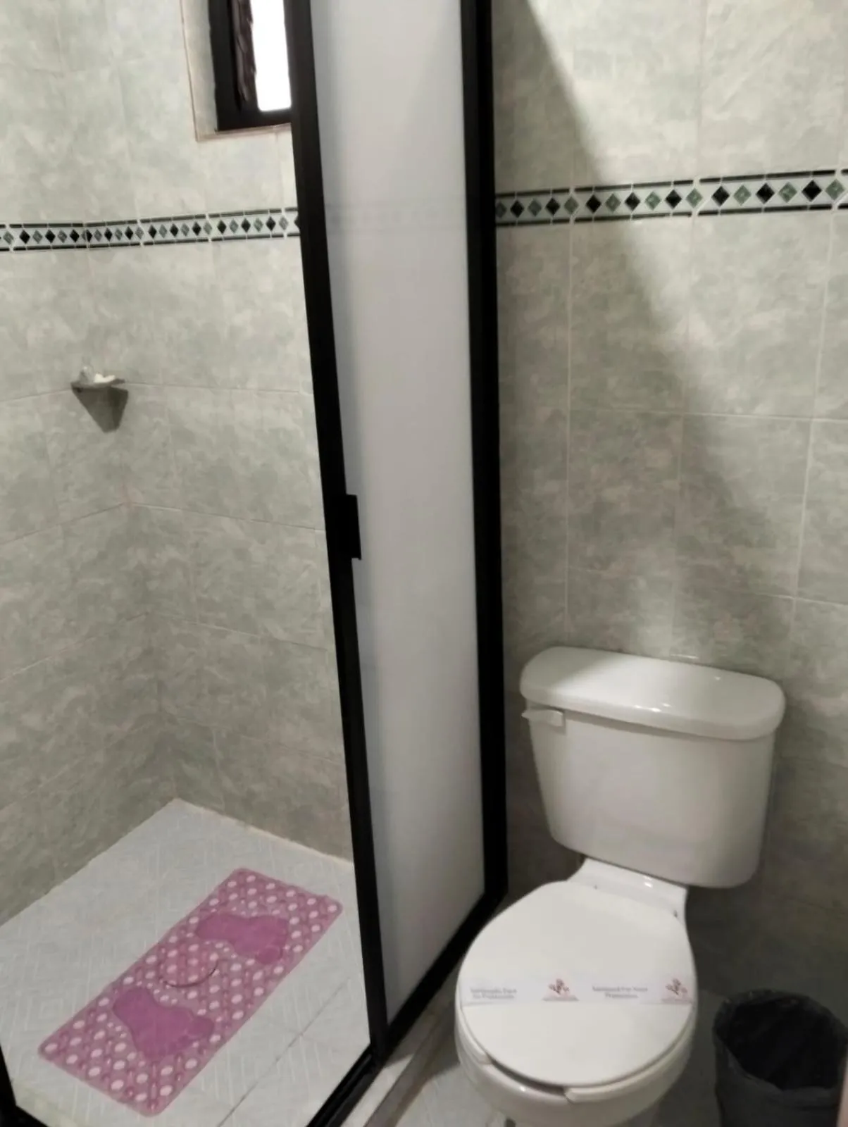 Large Single Room - single occupancy in Hotel Tres Flores