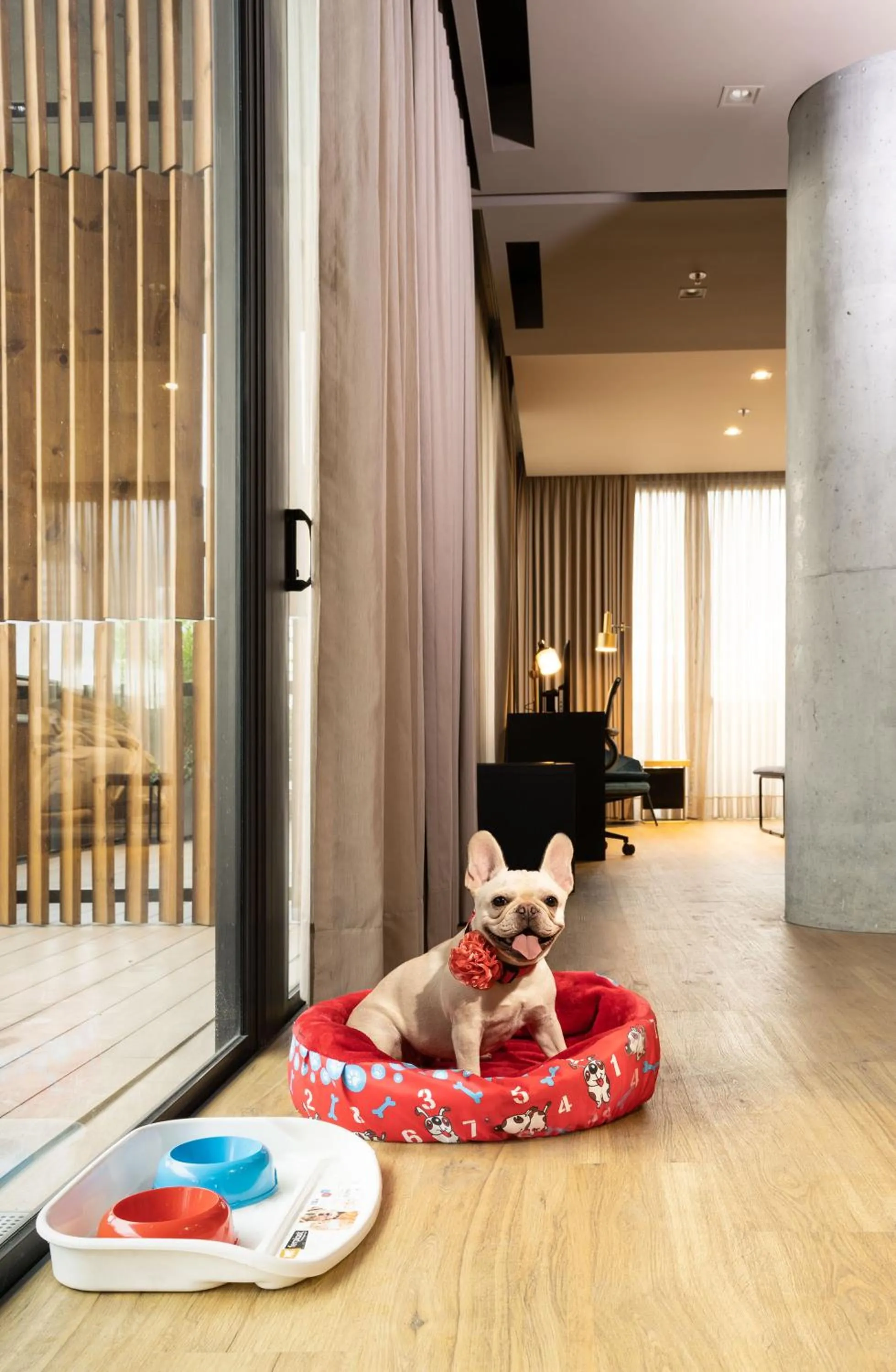 Animals in Salvio Parque 93 Bogota, Curio Collection by Hilton