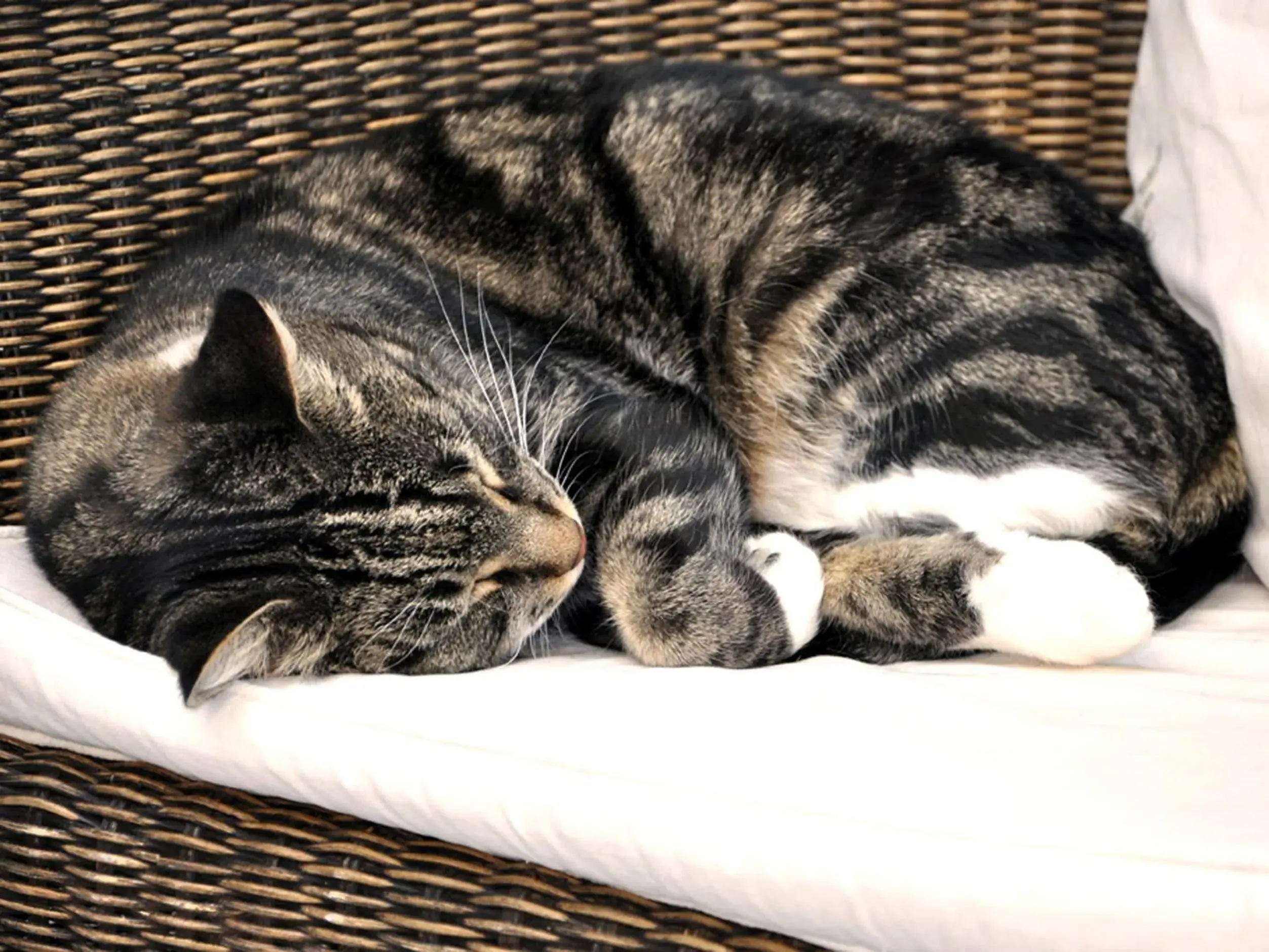 Dyers House Dyers House