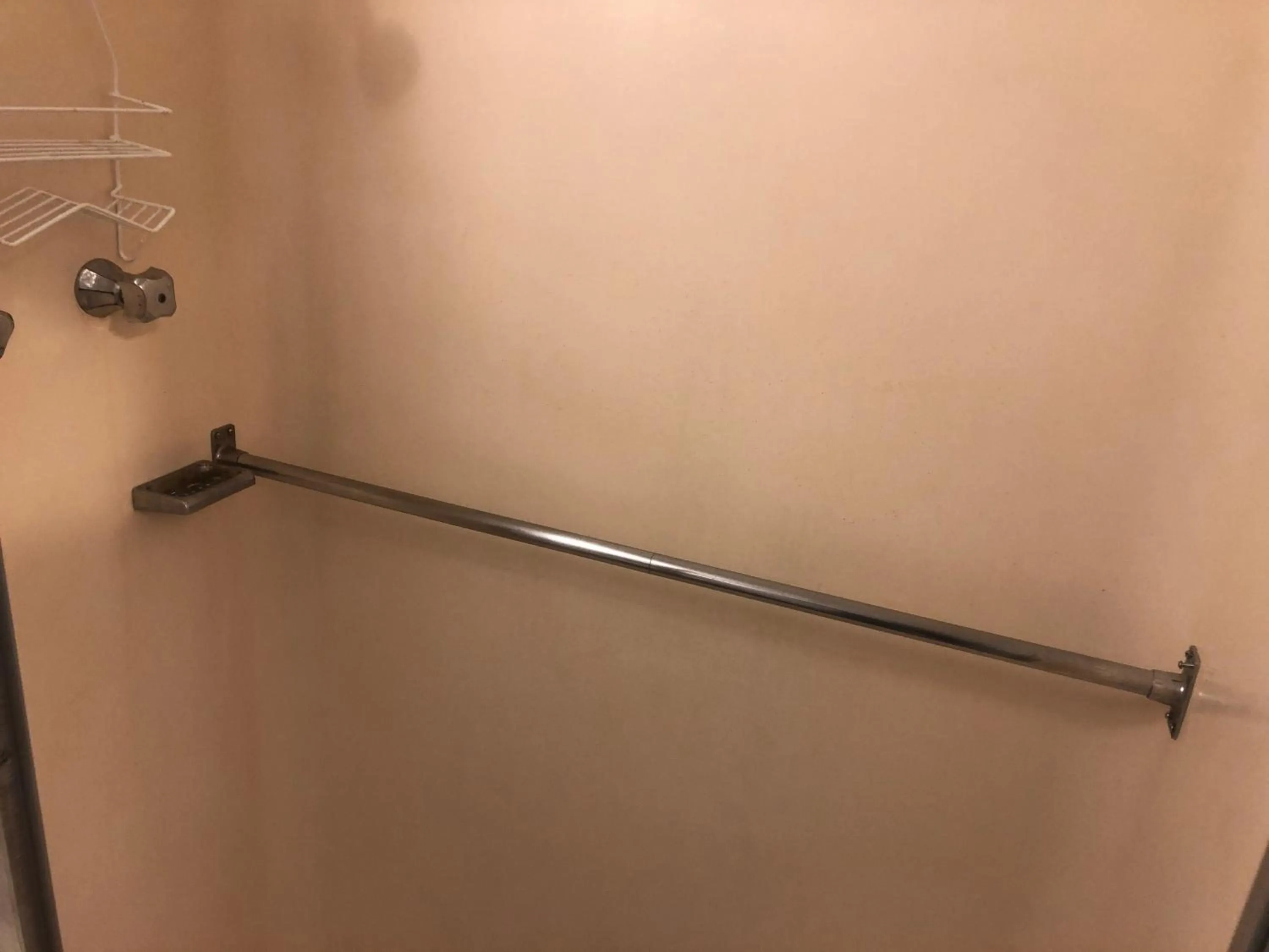 WHOLE Family - WholeVille