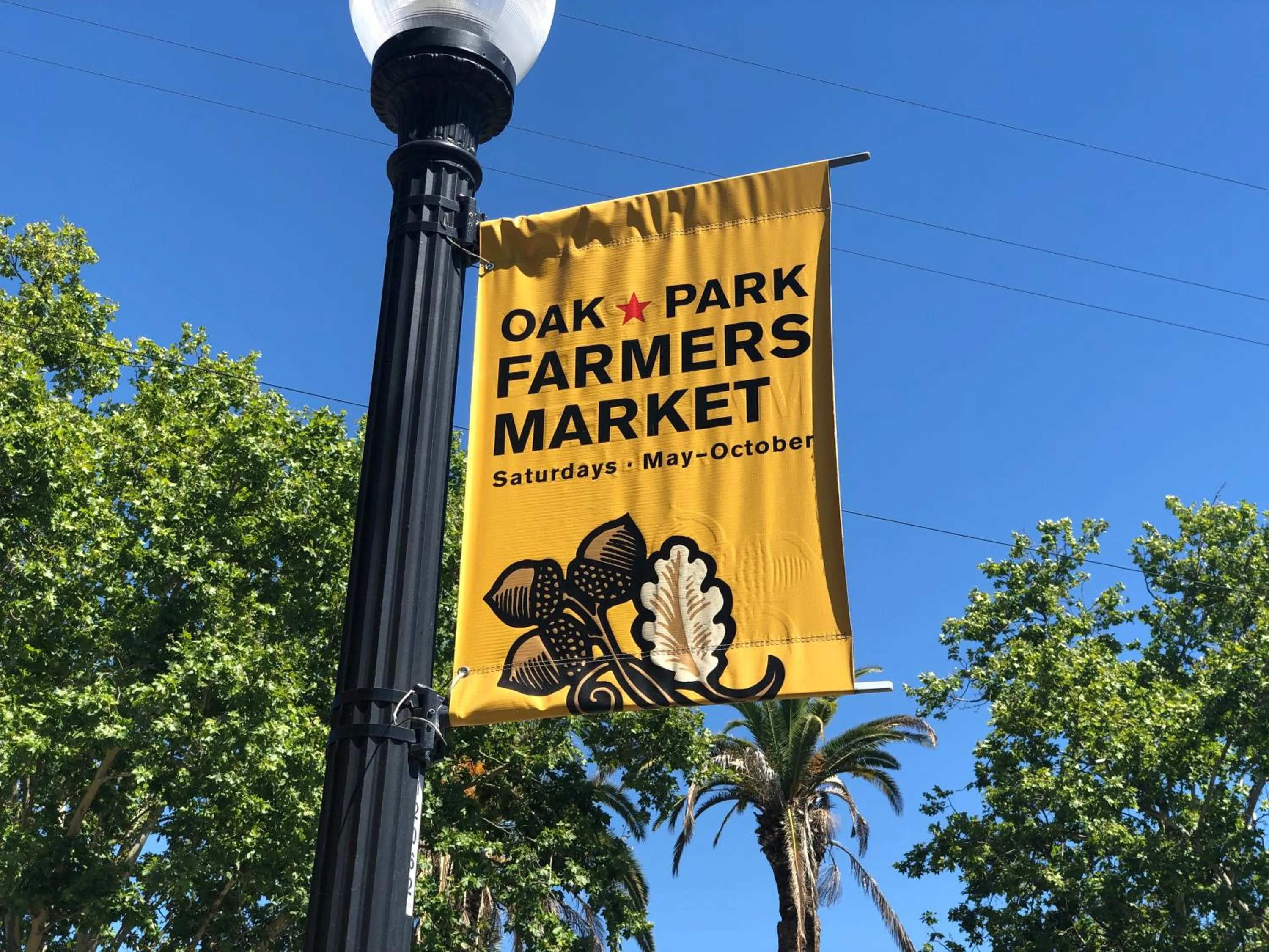 Restaurant/places to eat in WHOLE Family - WholeVille