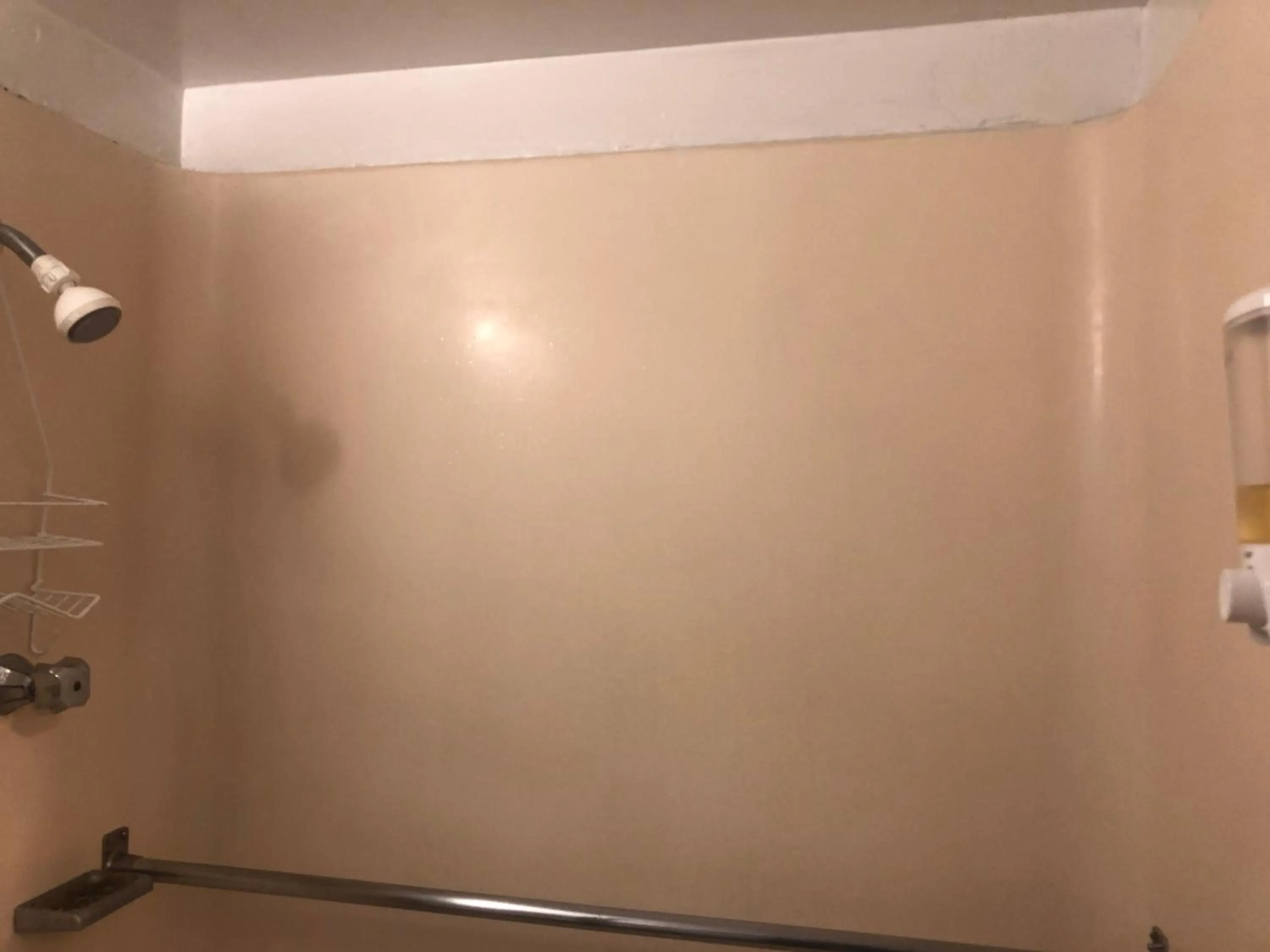 WHOLE Family - WholeVille