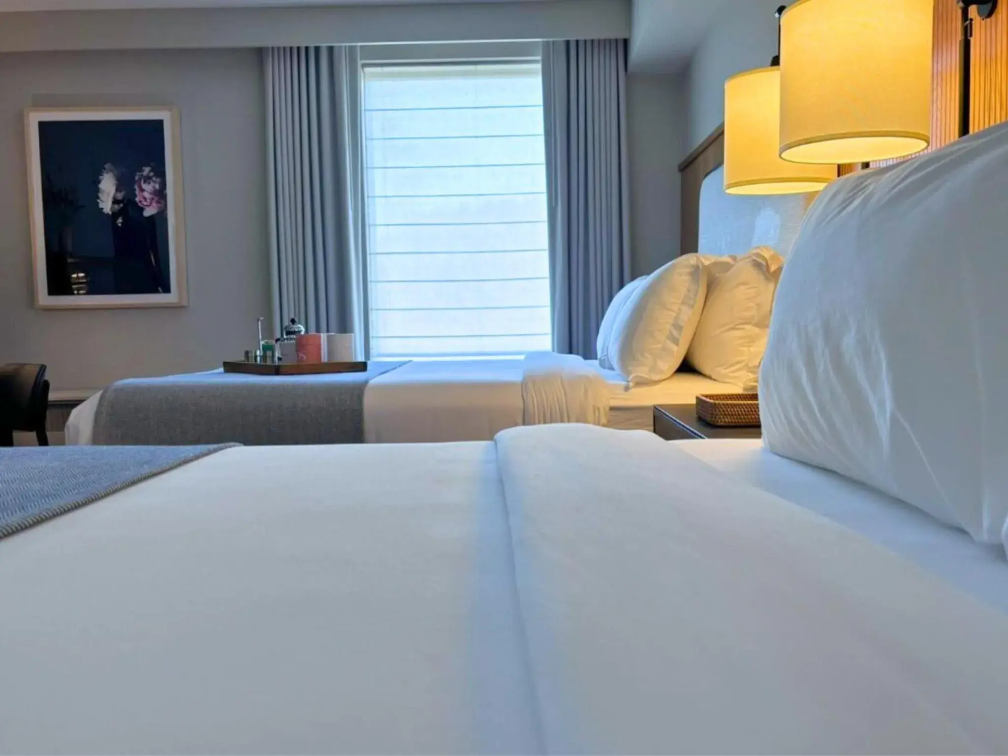 Bed in The Watershed Norwalk Bed in The Watershed Norwalk