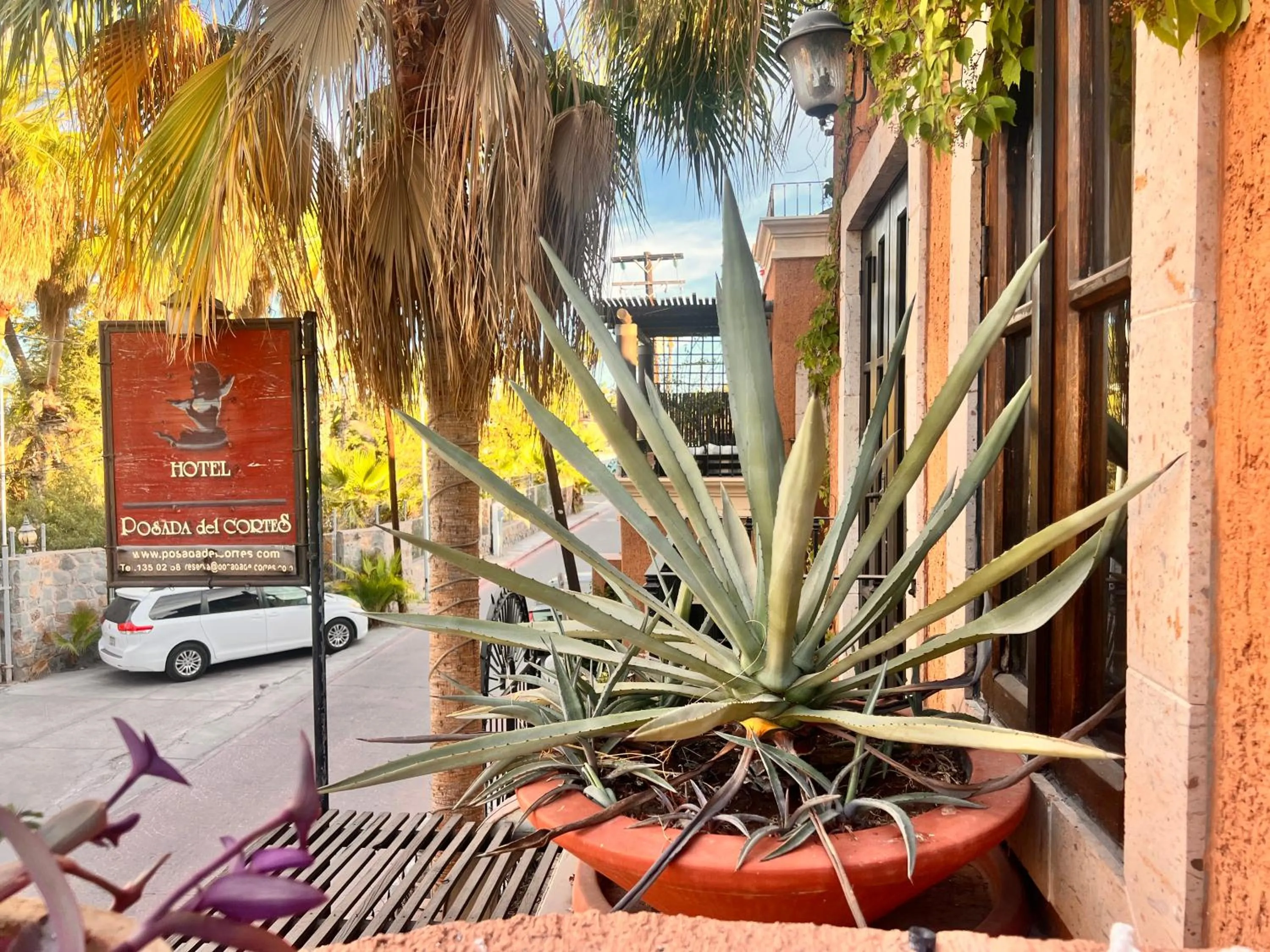 Street view in Posada del Cortes
