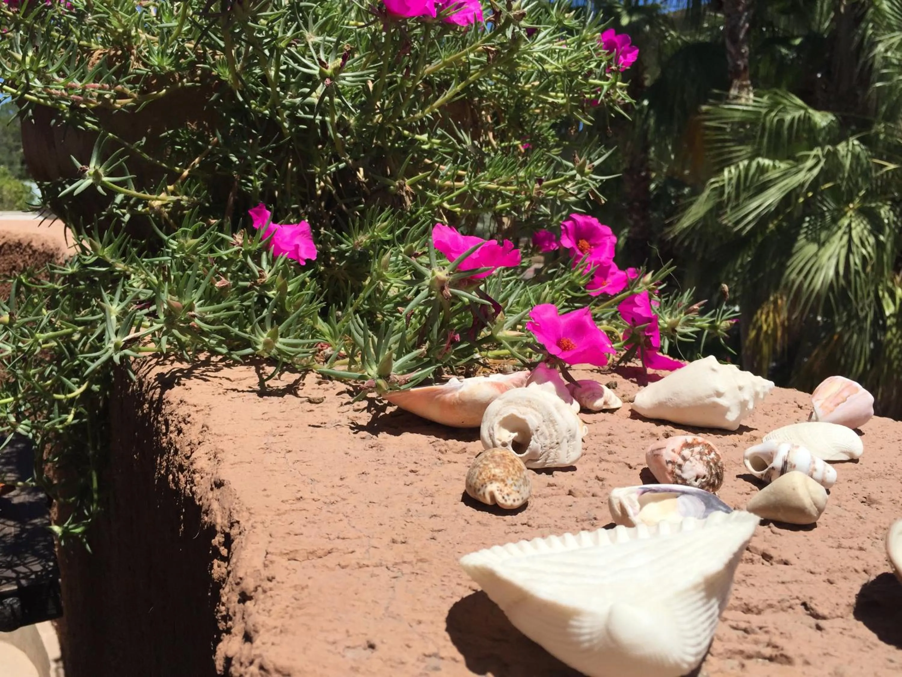 Balcony/Terrace in Posada del Cortes