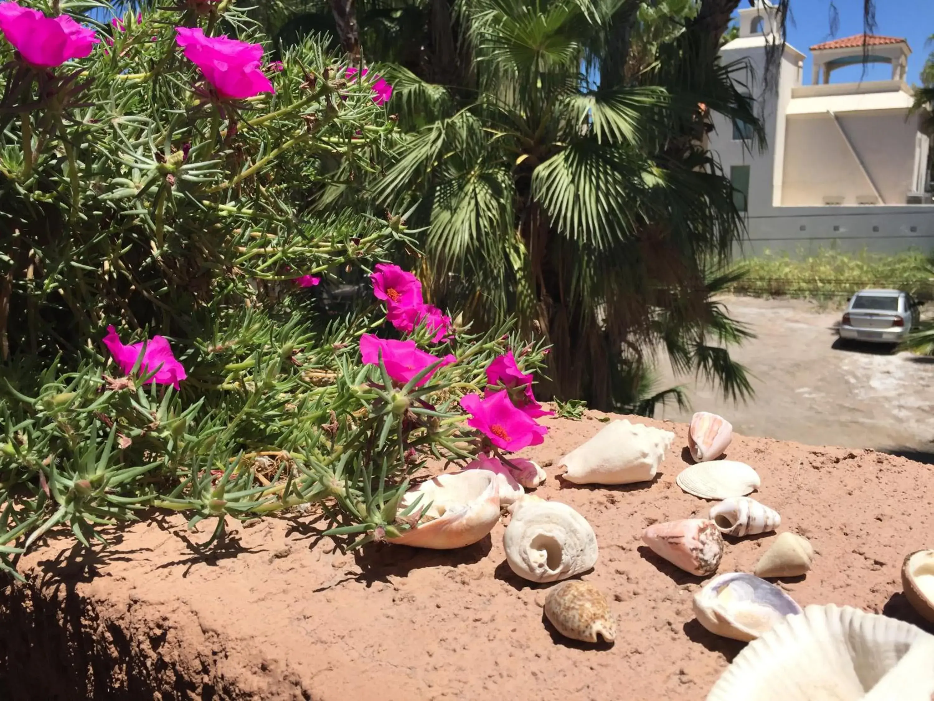View (from property/room) in Posada del Cortes View (from property/room) in Posada del Cortes