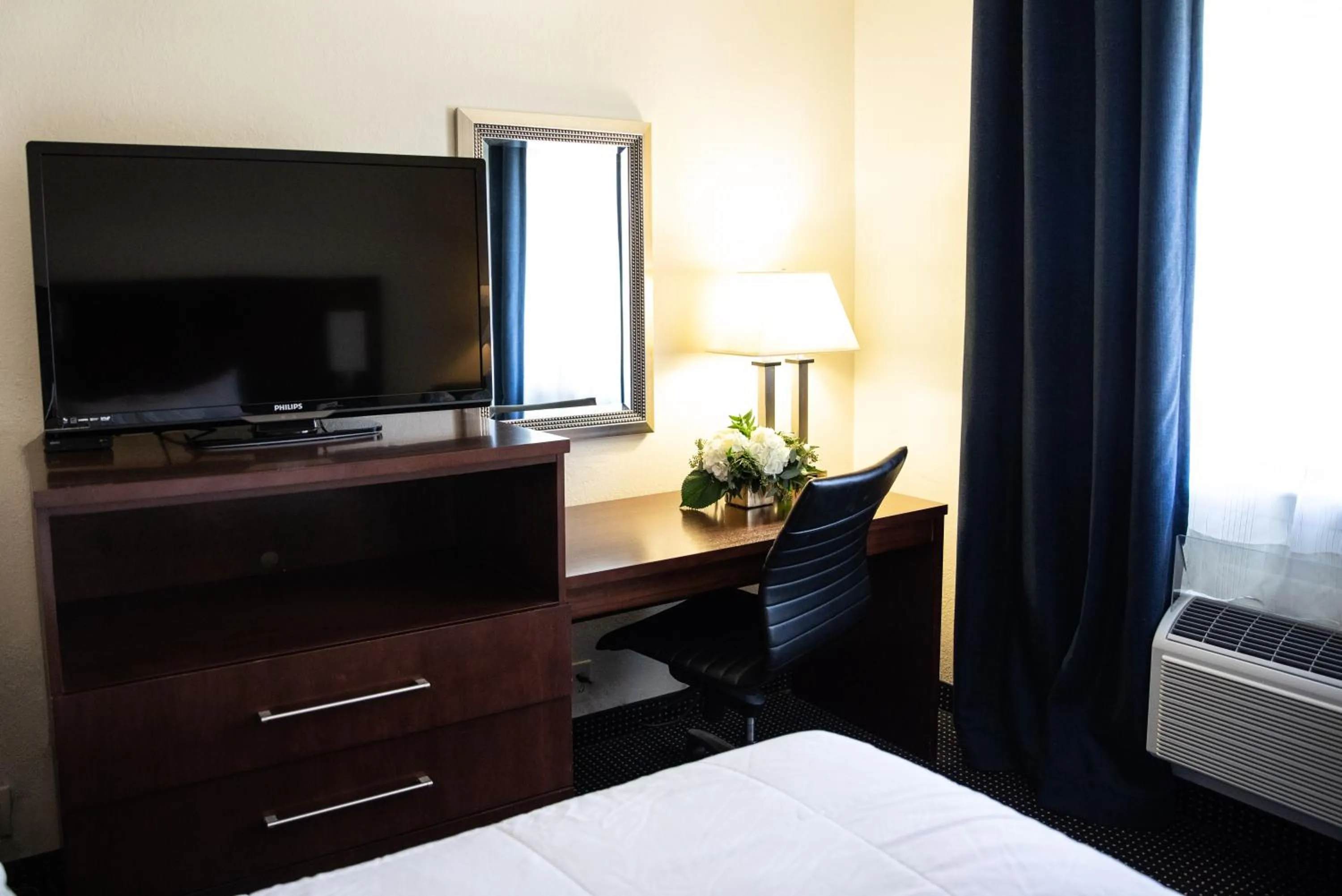 TV and multimedia in Hatfield Inn