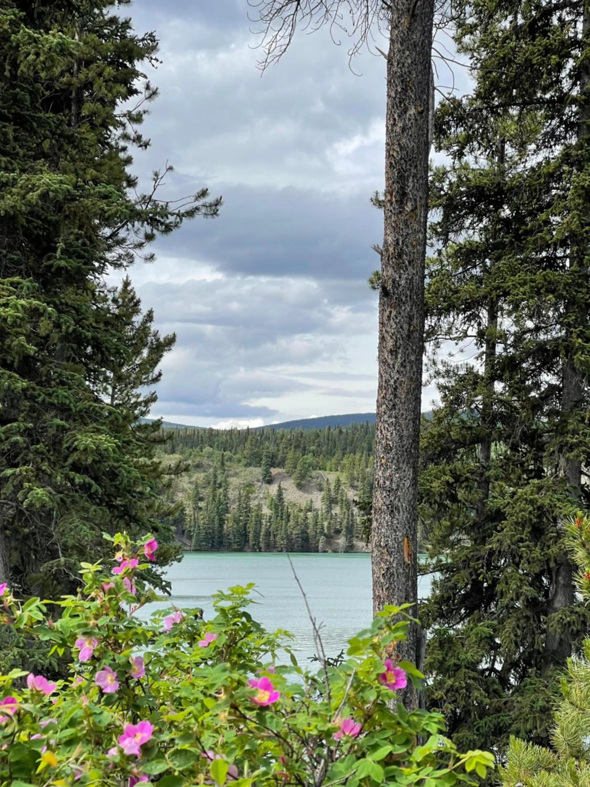 Elite Hotel -Downtown Center- "Ski & Northern light Tour" "Hot Spring Tour "Long-term stay"