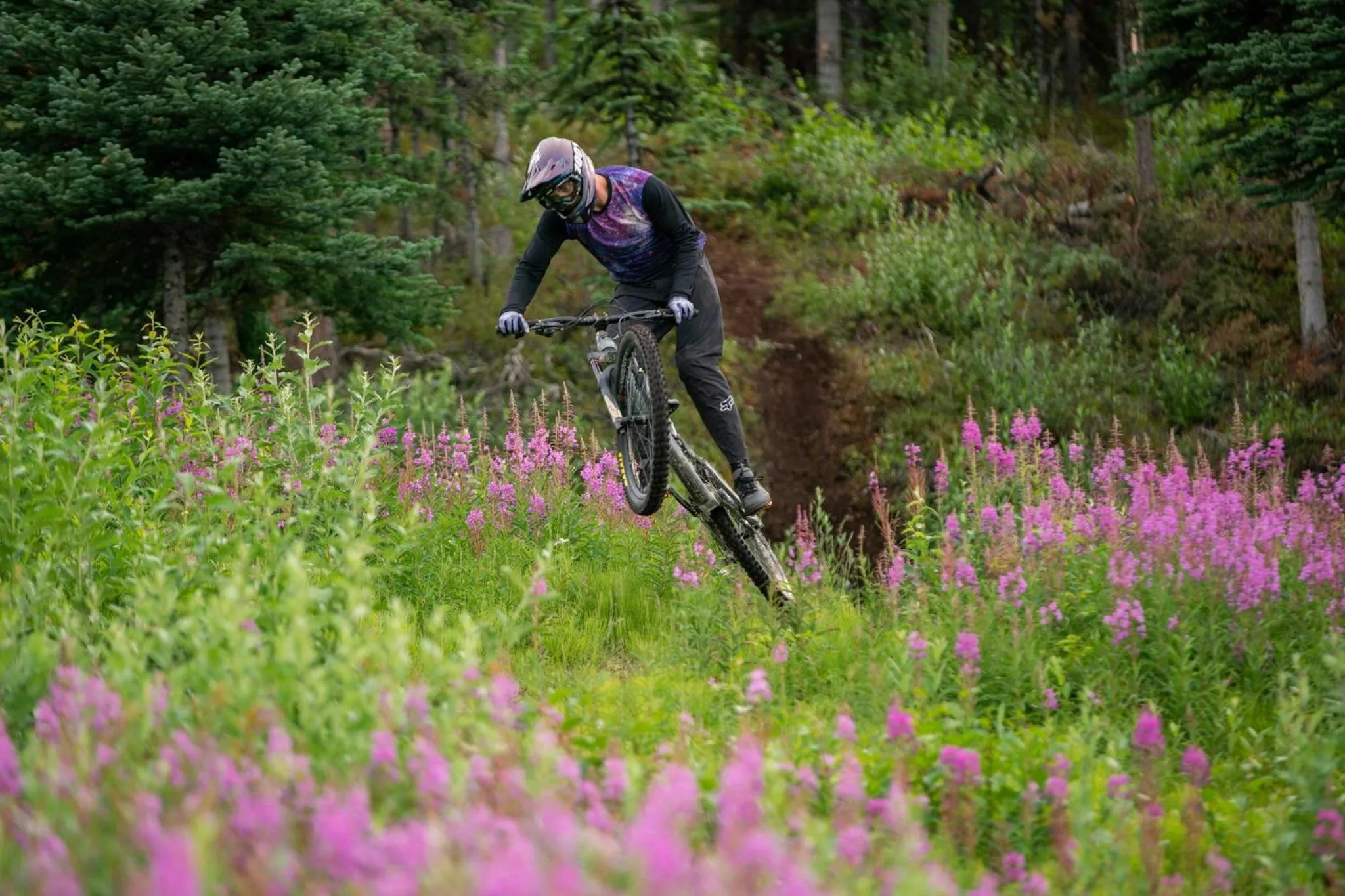 Elite Hotel -Downtown Center- "Ski & Northern light Tour" "Hot Spring Tour "Long-term stay"