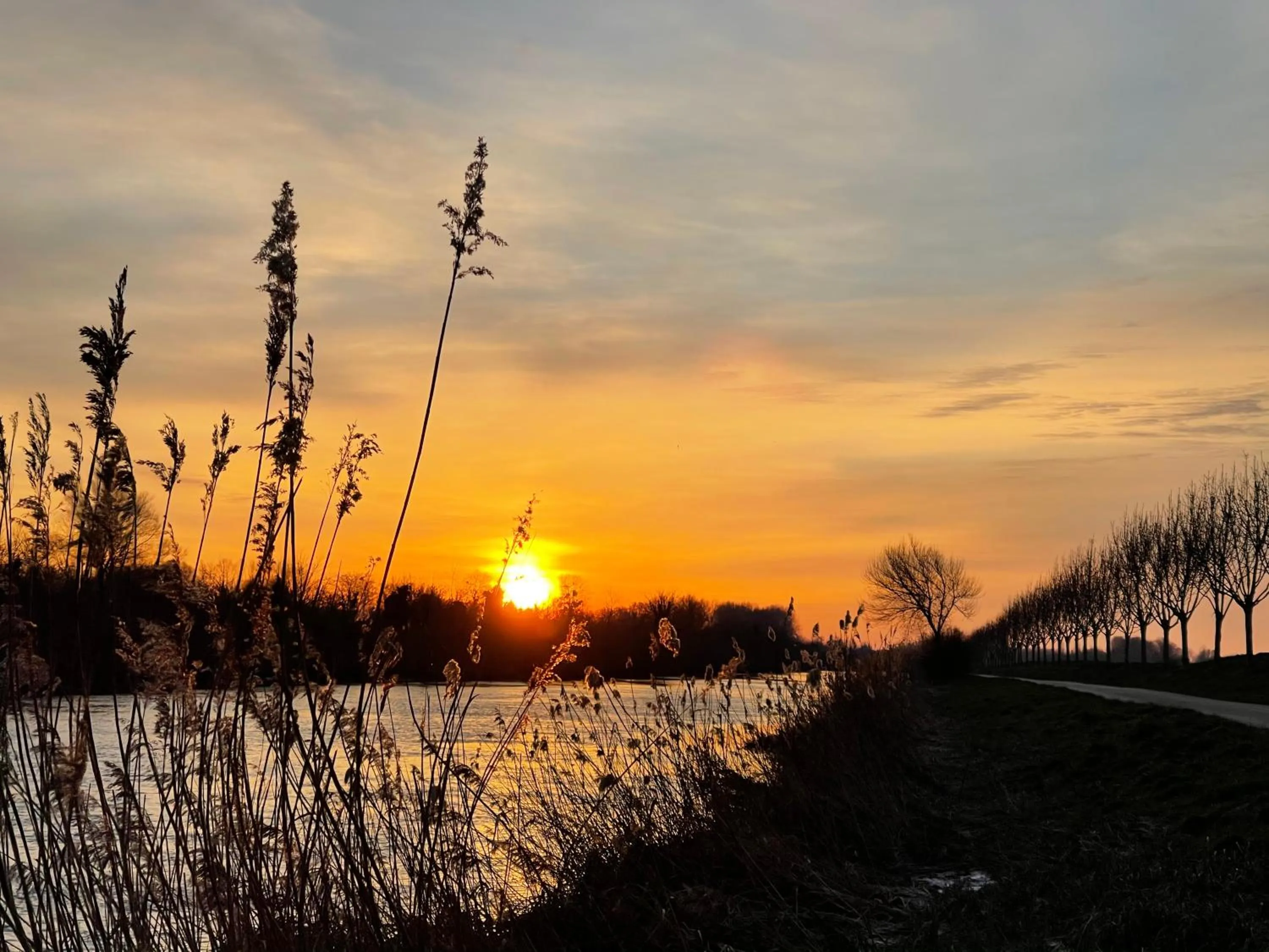 Natural landscape in Au Presbytère de Saigneville
