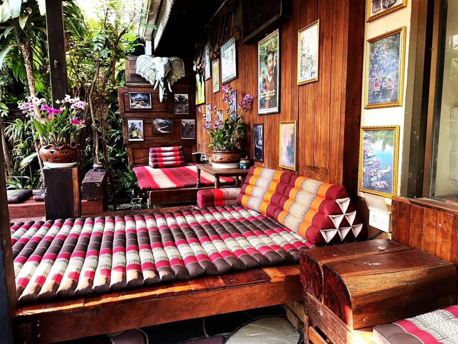 Garden in Panda House Chiang Mai