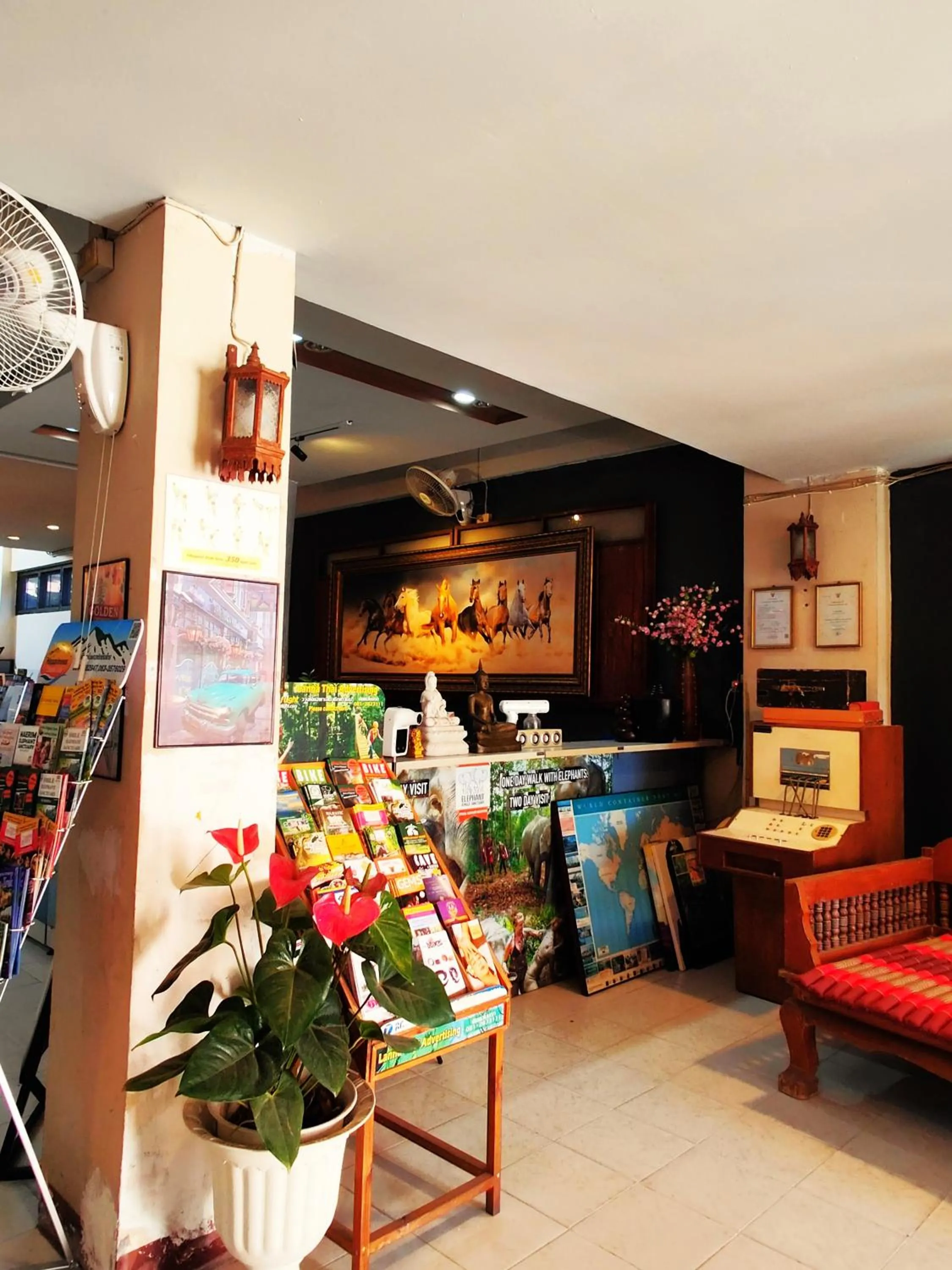 Property building in Panda House Chiang Mai