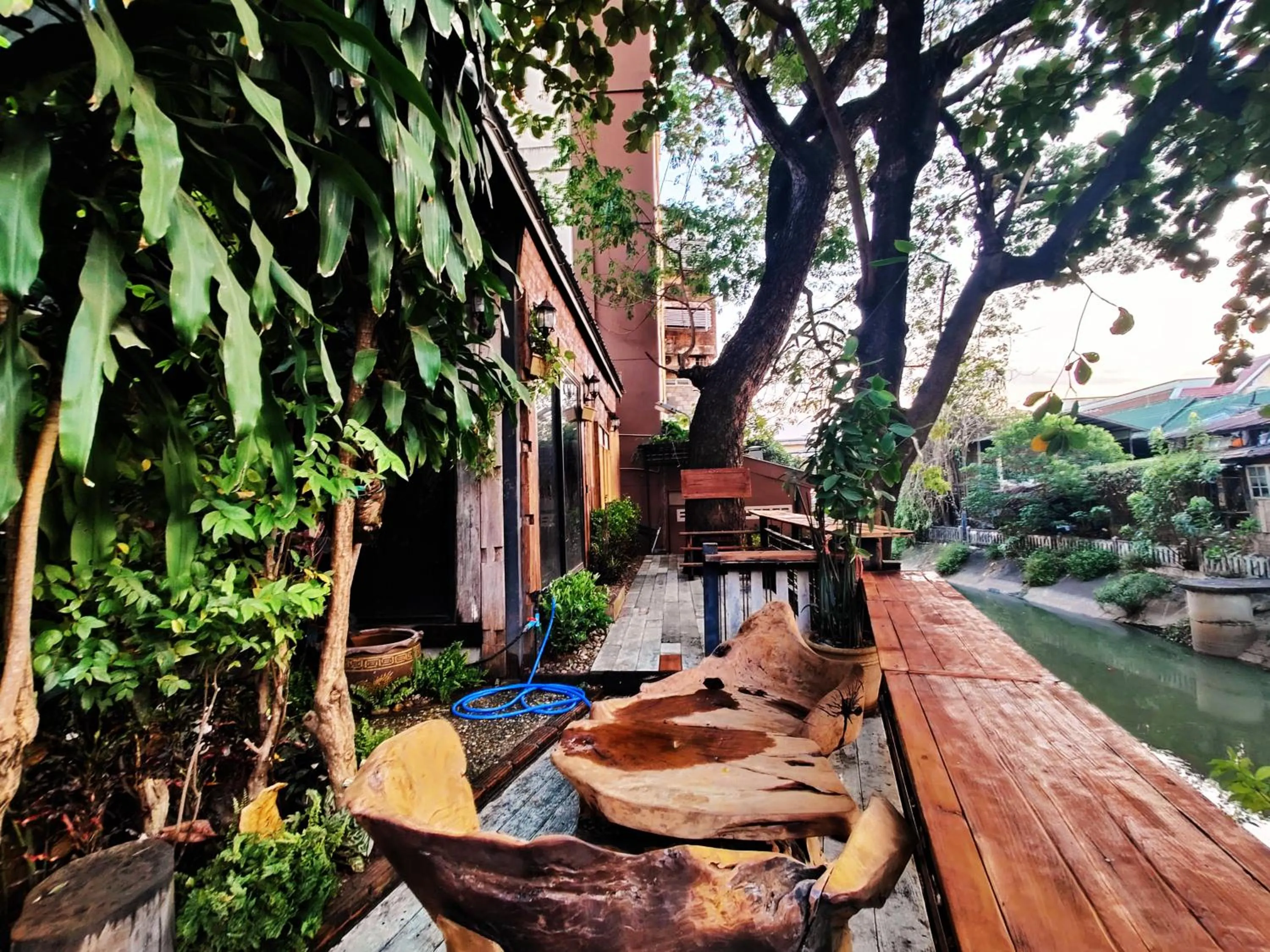 Garden in Panda House Chiang Mai