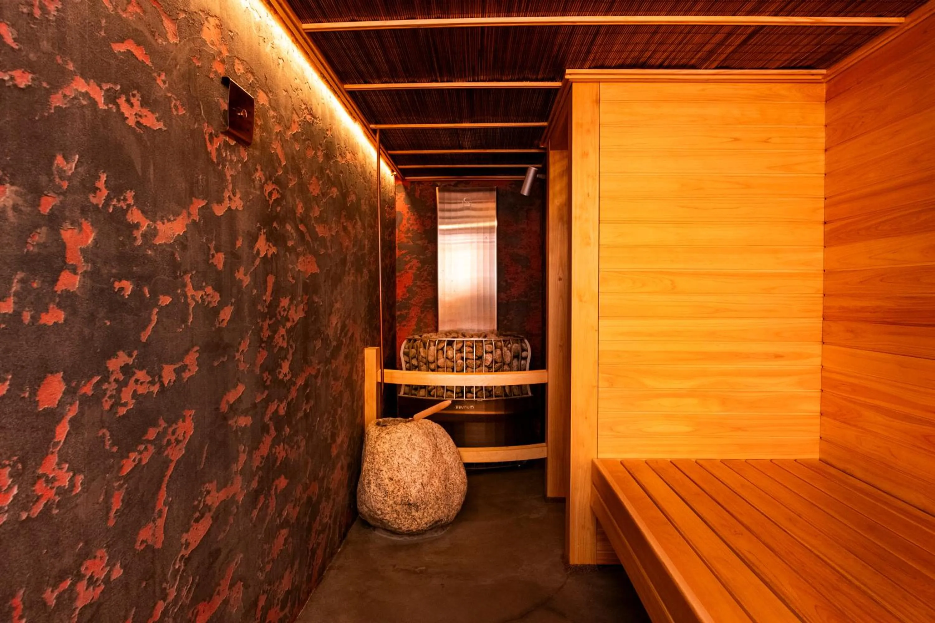 Sauna in Miyazaki Daiichi Hotel