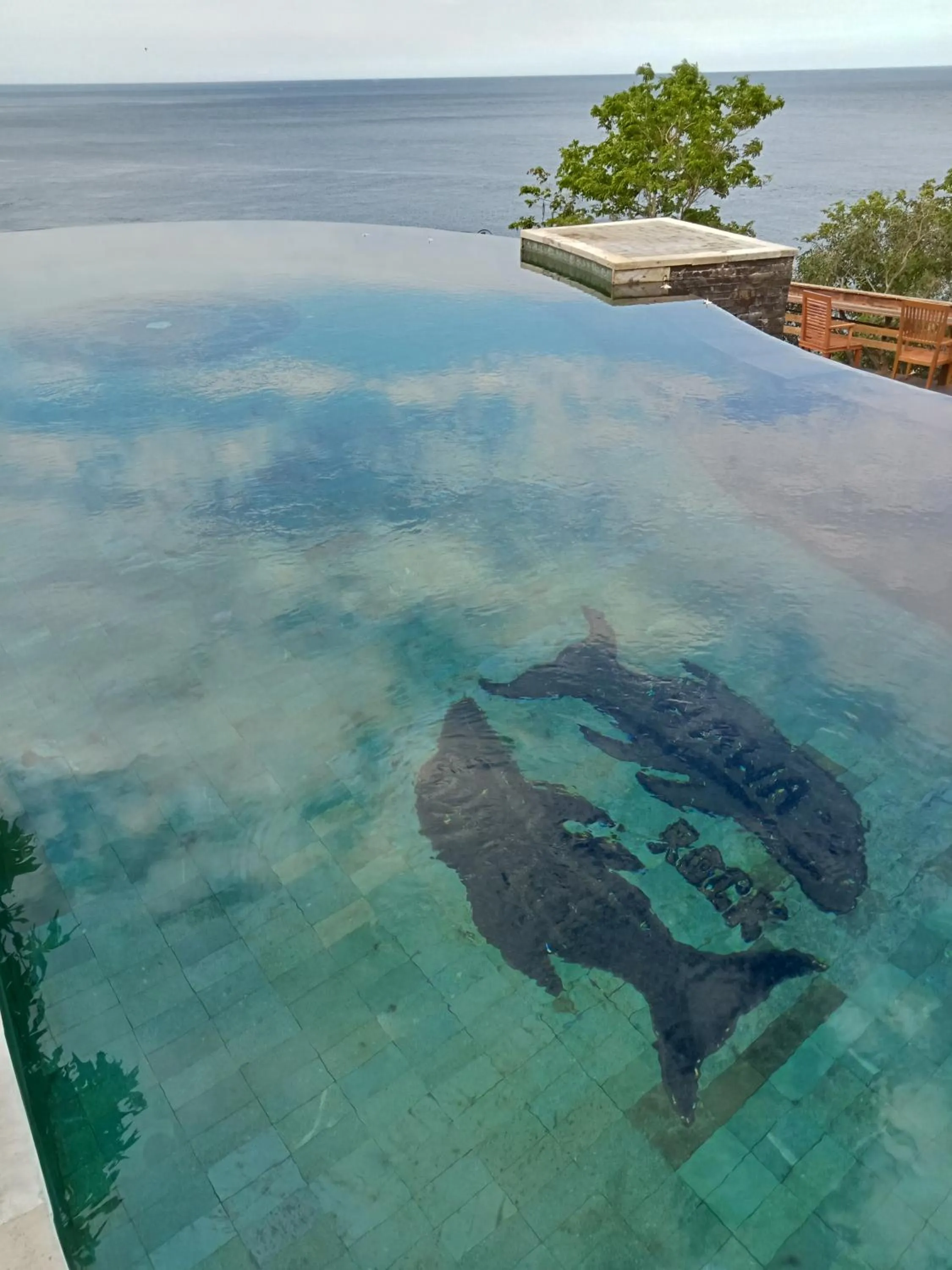 Sea view in Wawa Wewe Rock