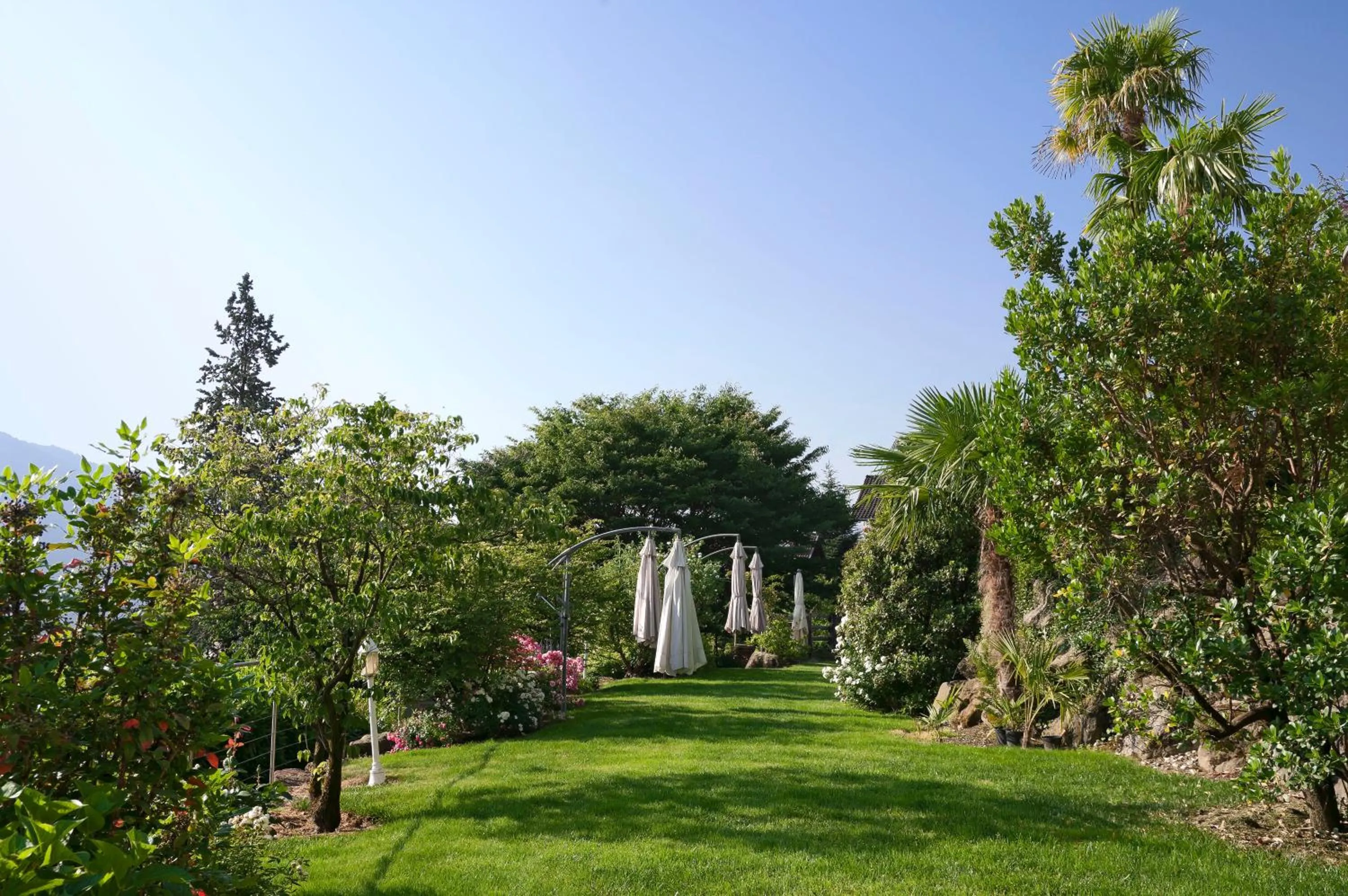 Garden in Hotel Sonnenhof