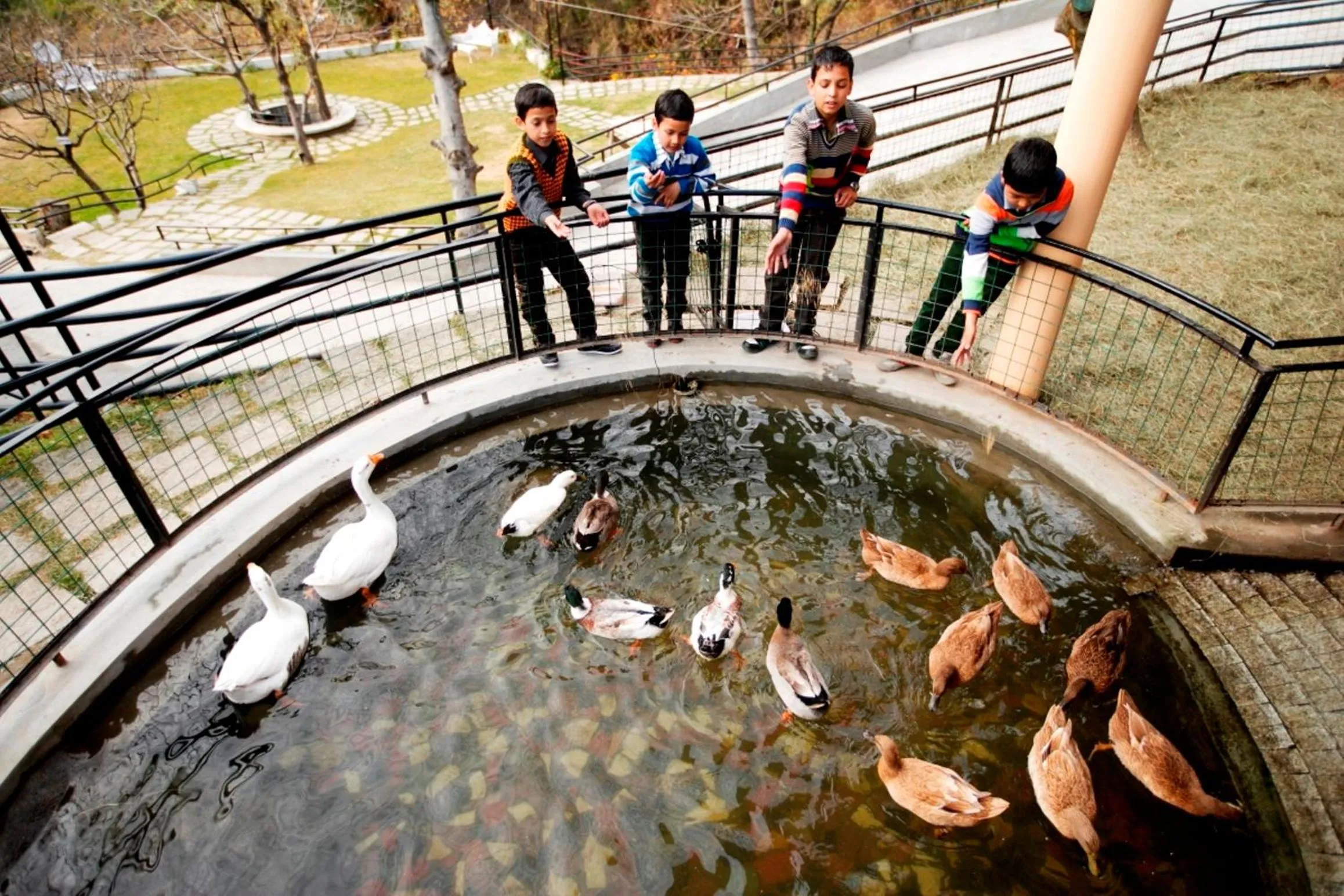 Animals in Manuallaya The Resort & Spa