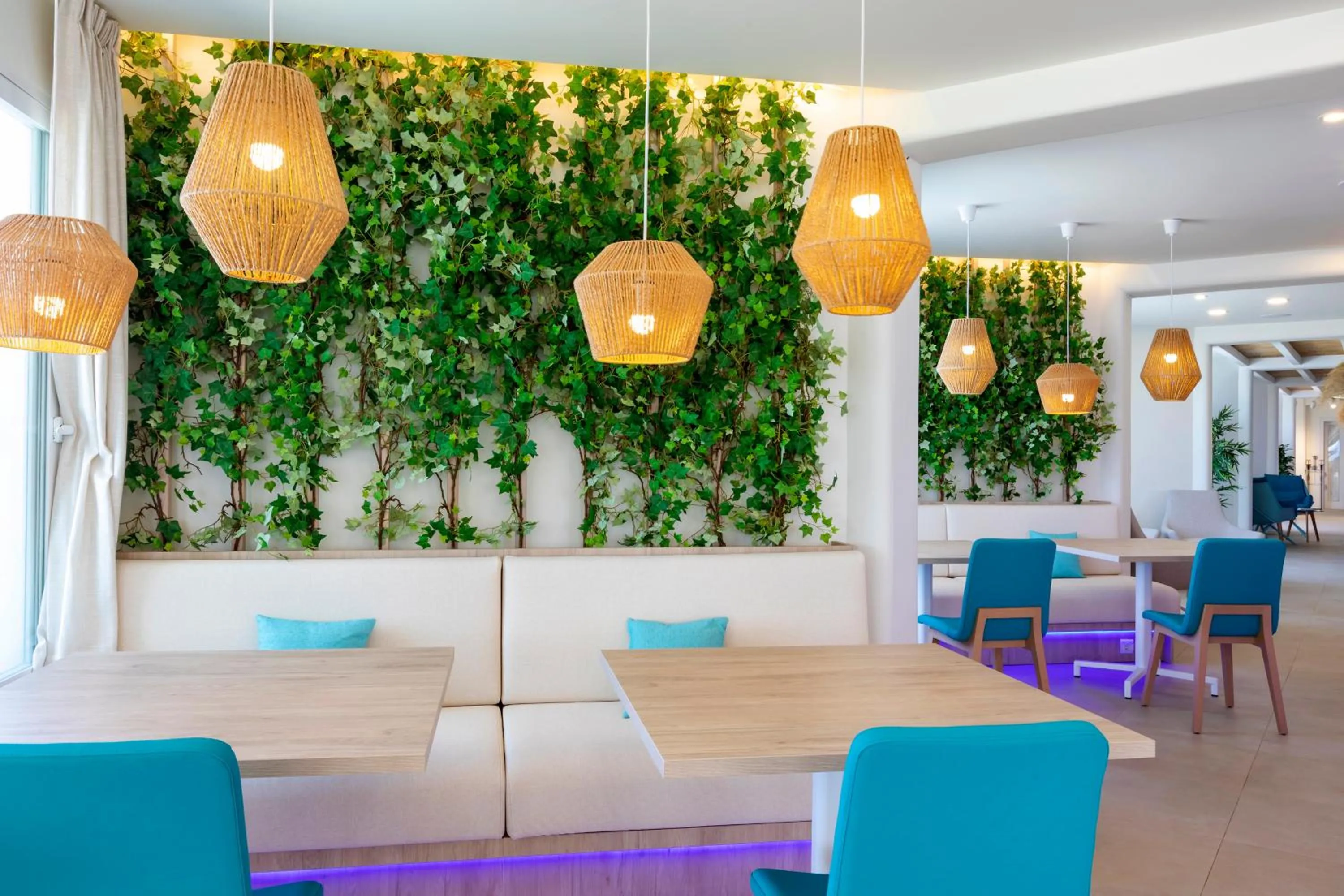 Restaurant/places to eat in Hotel Maysi