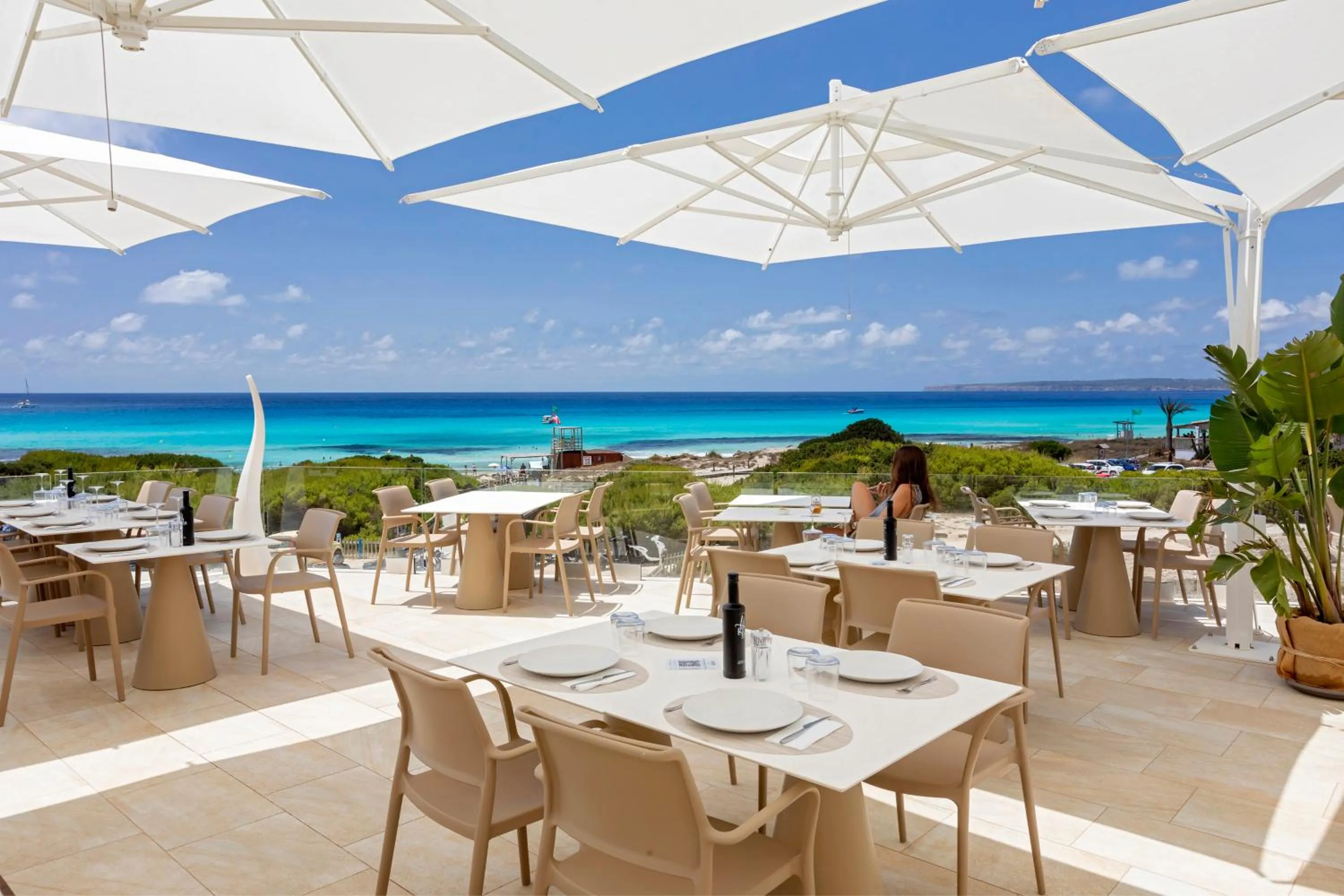 Restaurant/places to eat in Hotel Maysi