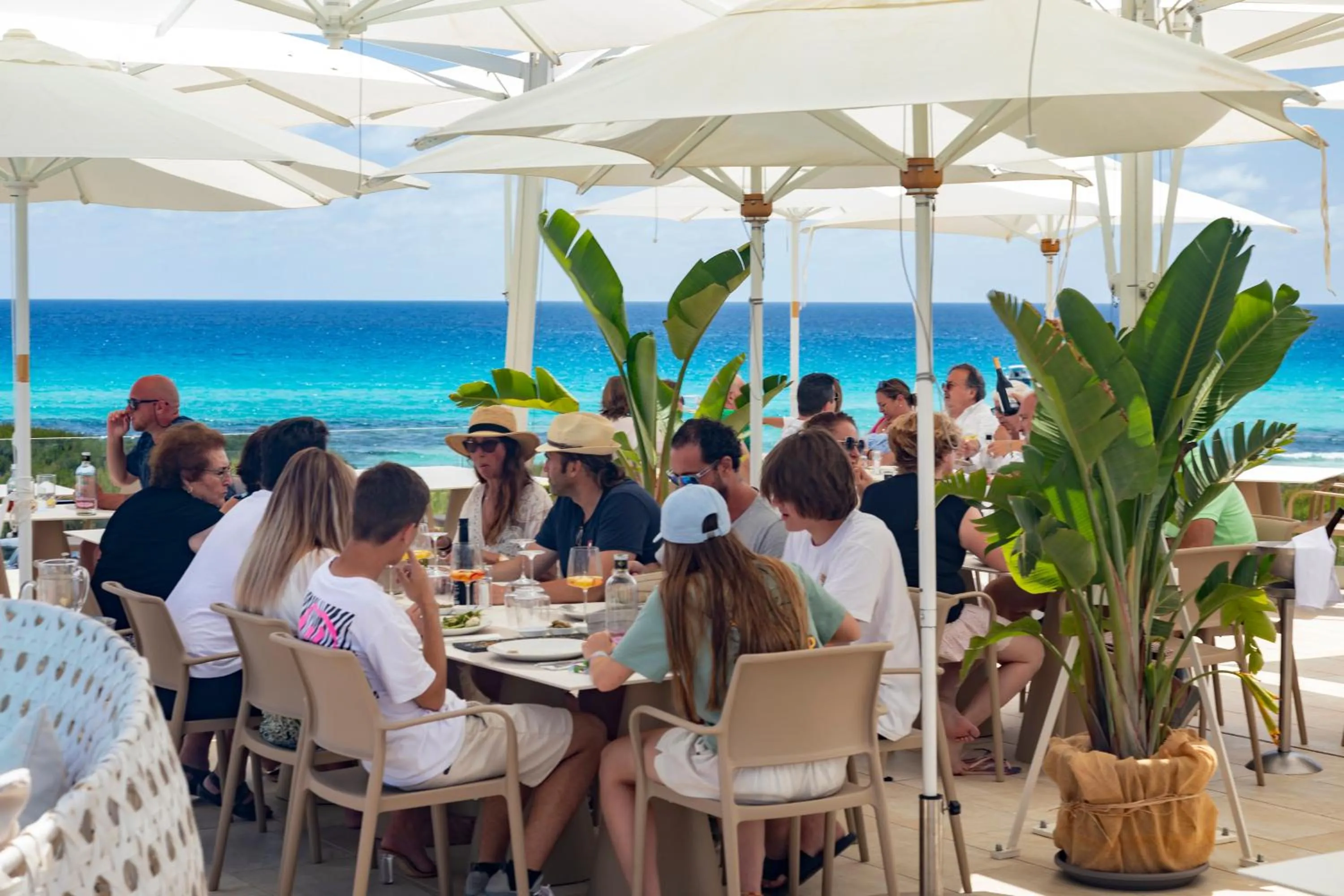 Restaurant/places to eat in Hotel Maysi