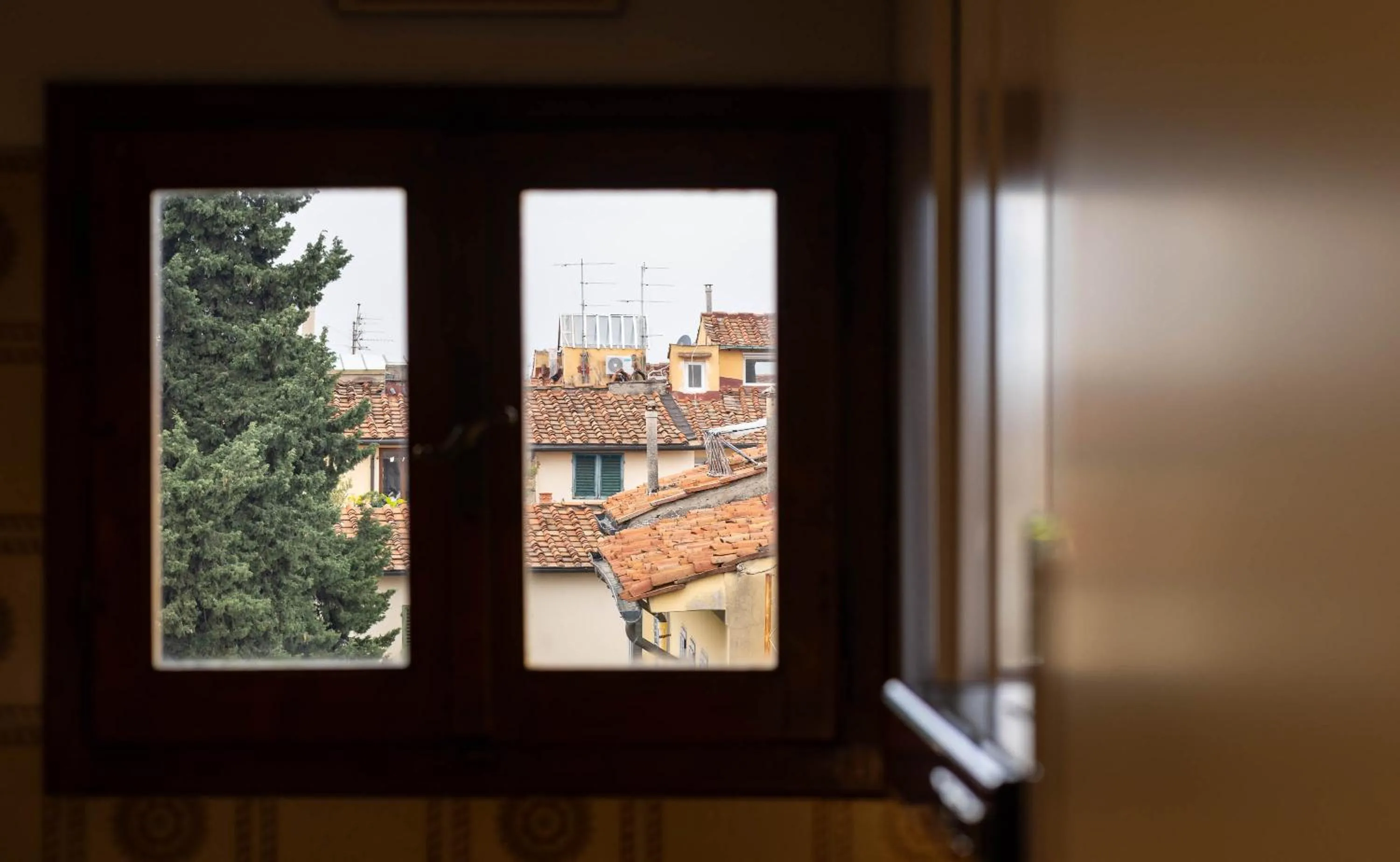 Day in Novella House