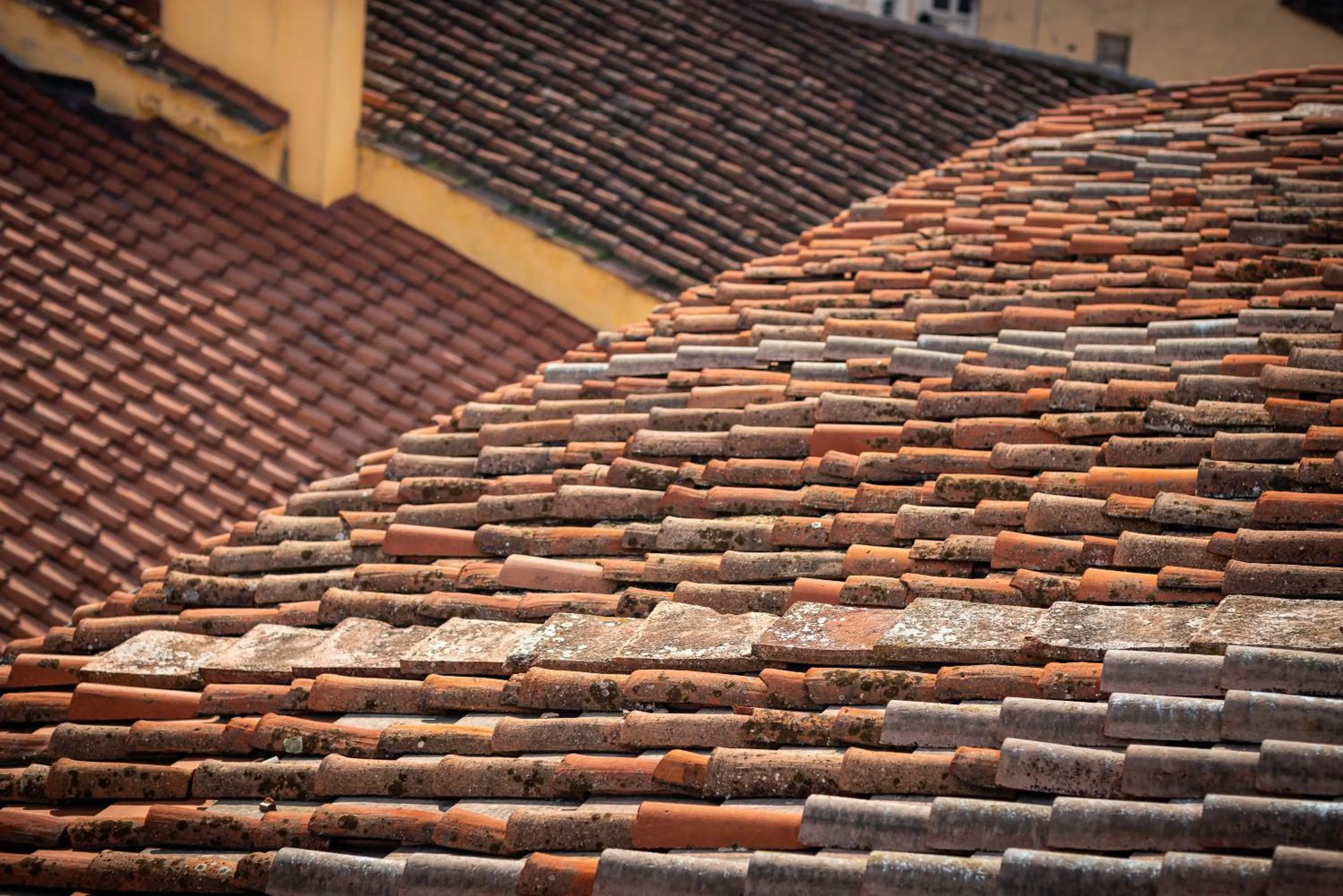 Landmark view in Novella House