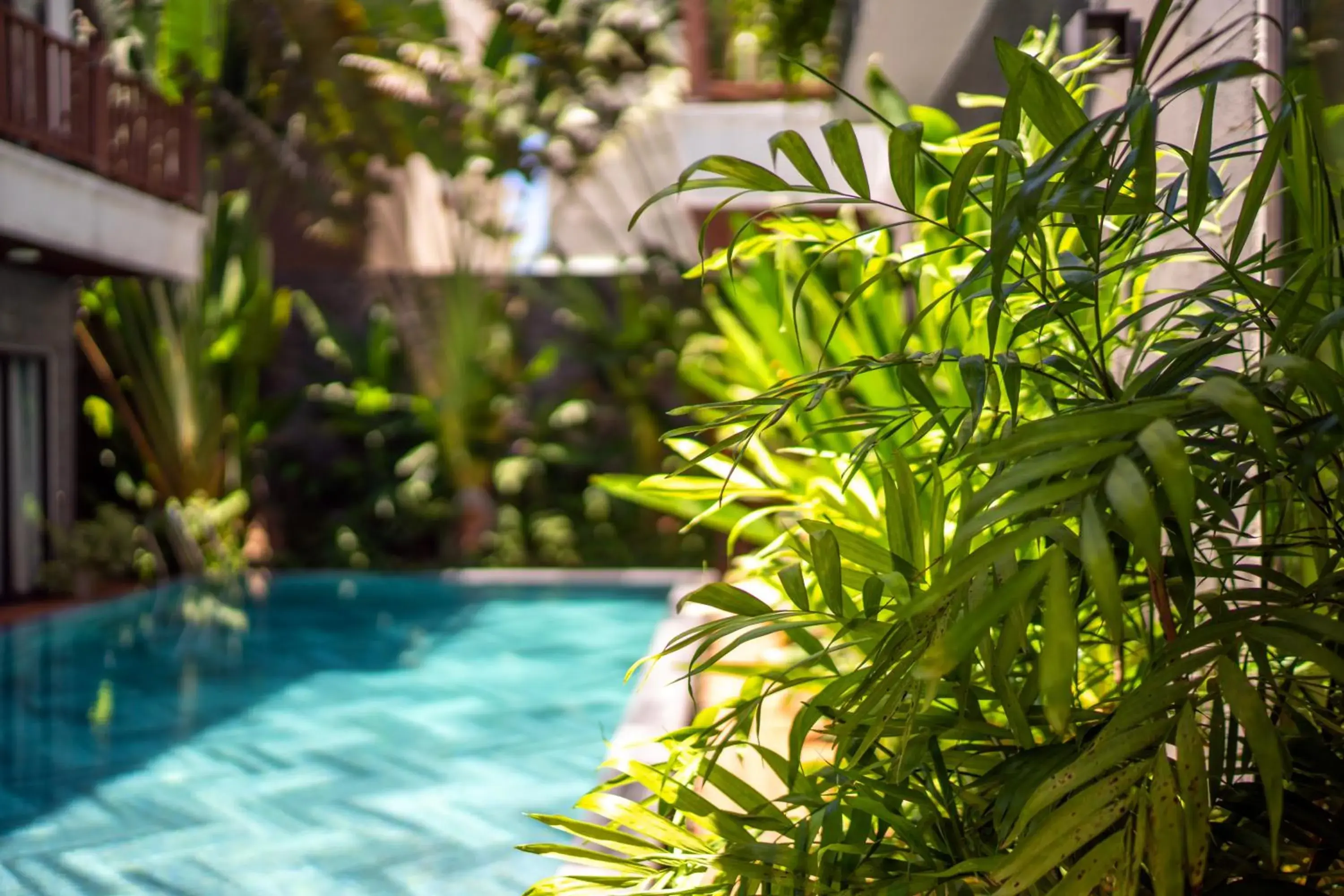 Swimming pool in December Hoi An Villa Swimming pool in December Hoi An Villa